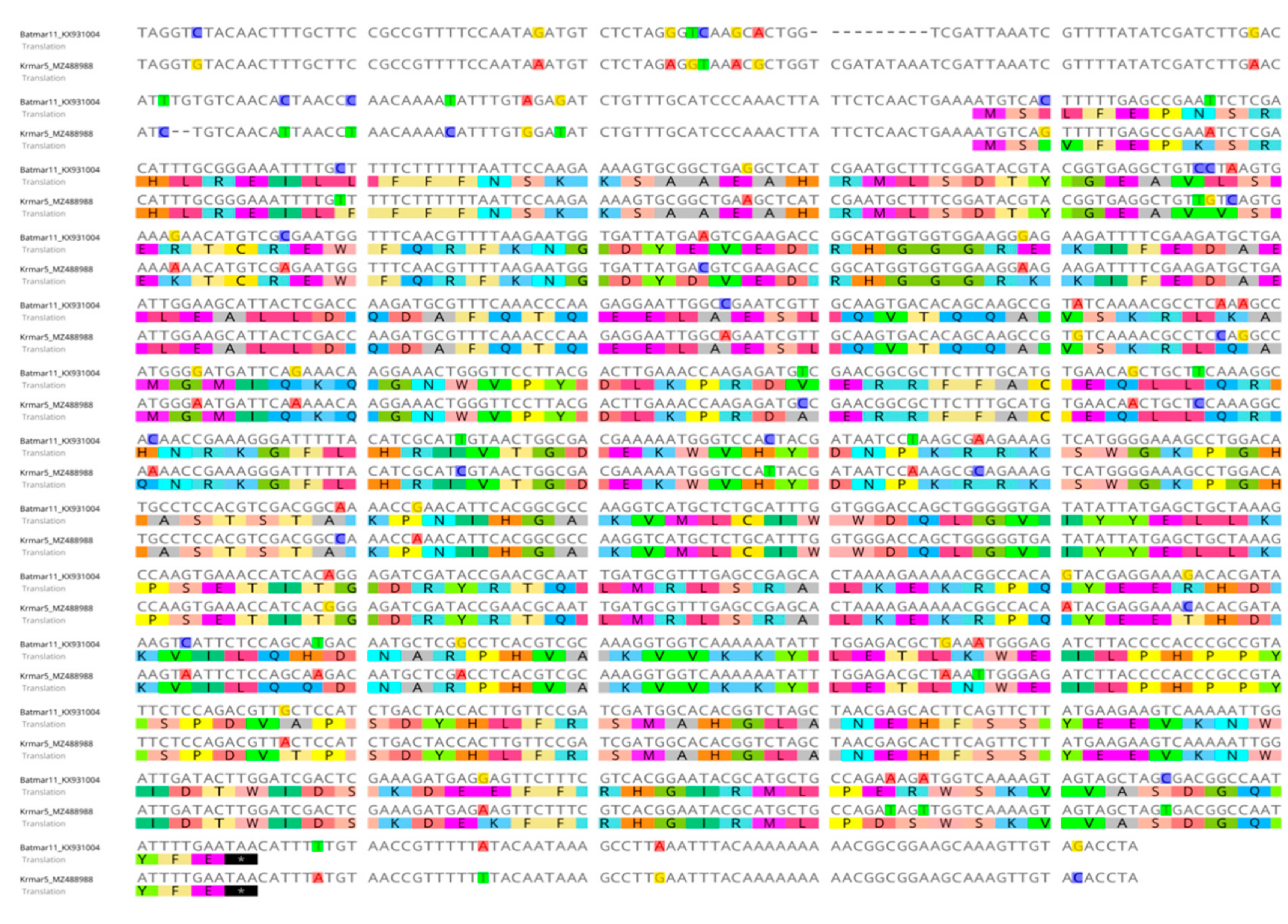 Biology 11 00731 g002 Biology 11 00731 g002