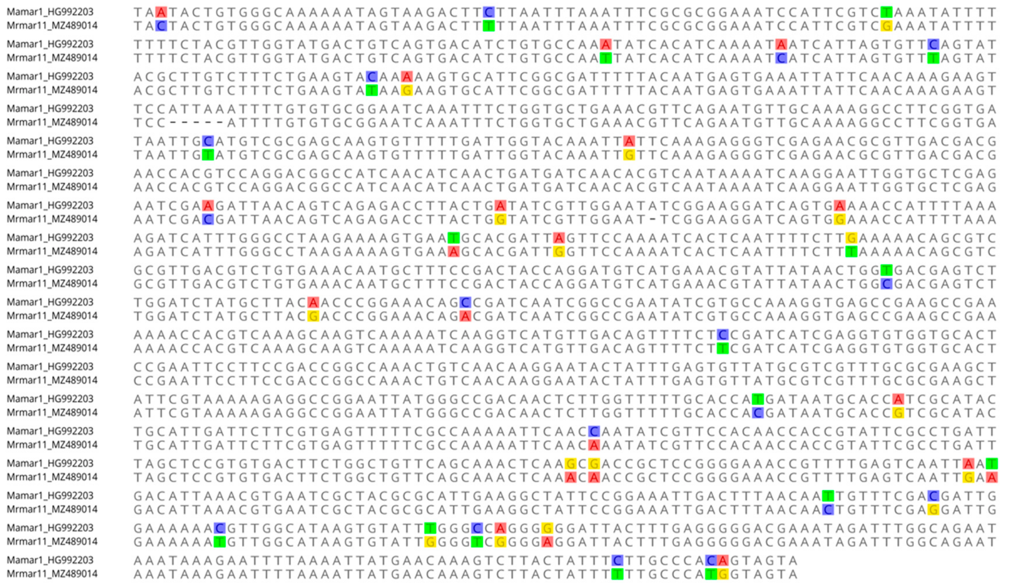 Biology 11 00731 g003 Biology 11 00731 g003