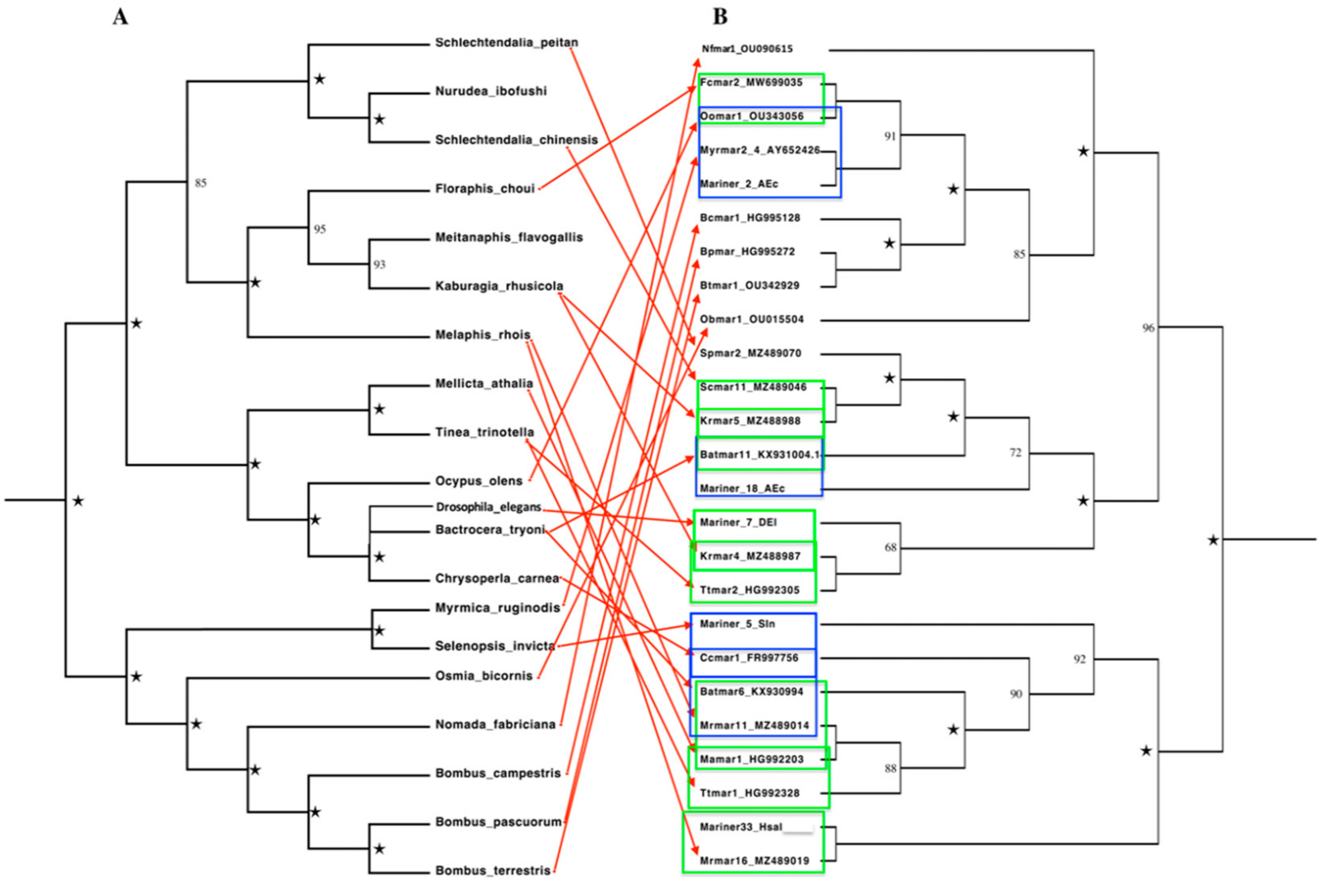 Biology 11 00731 g004 Biology 11 00731 g004