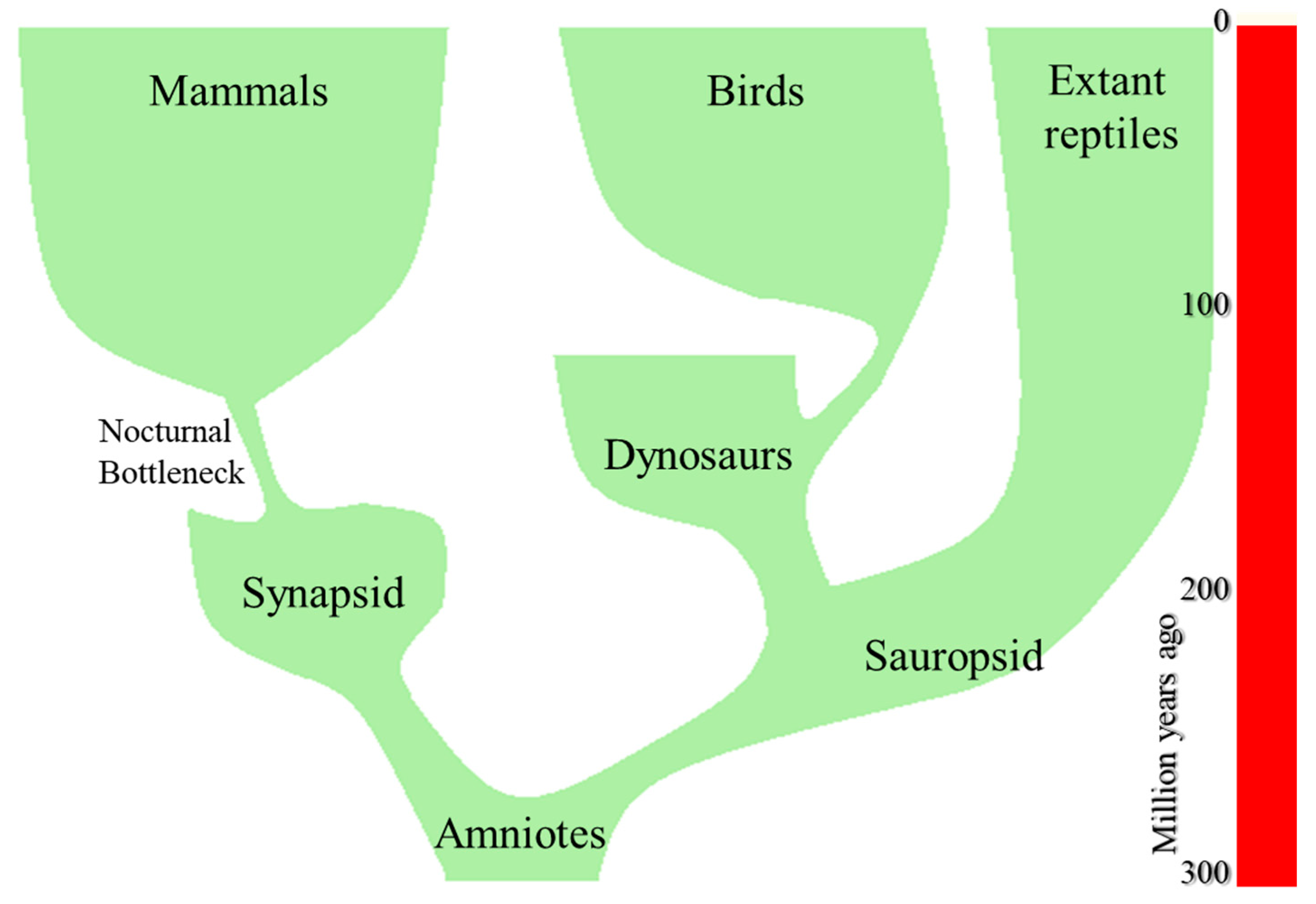 Biology 11 00734 g001 Biology 11 00734 g001