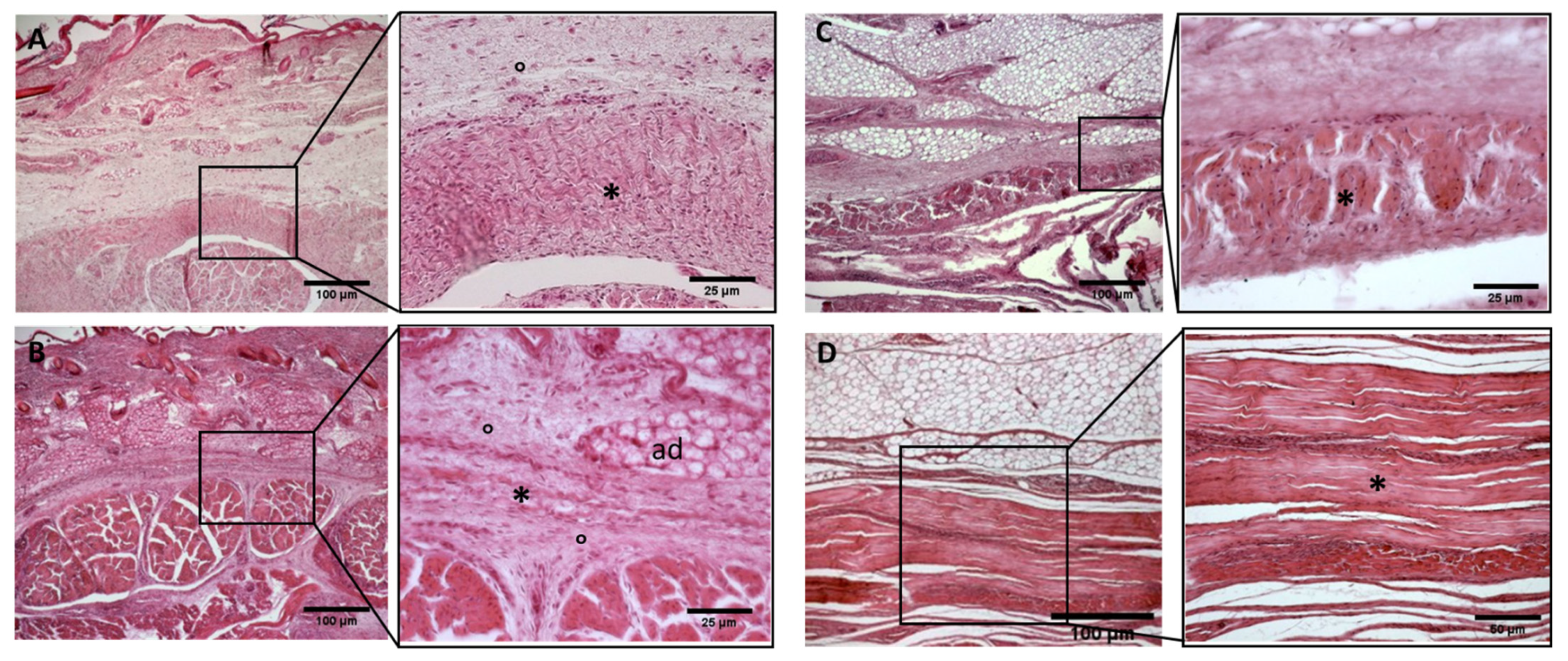 Biology 11 00735 g007