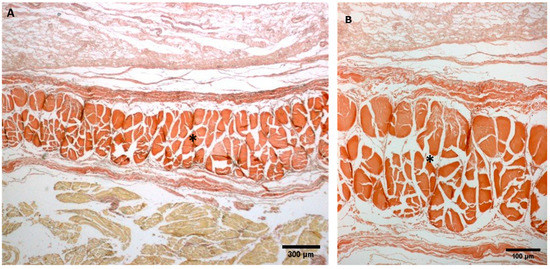 Biology 11 00735 g0a1 550