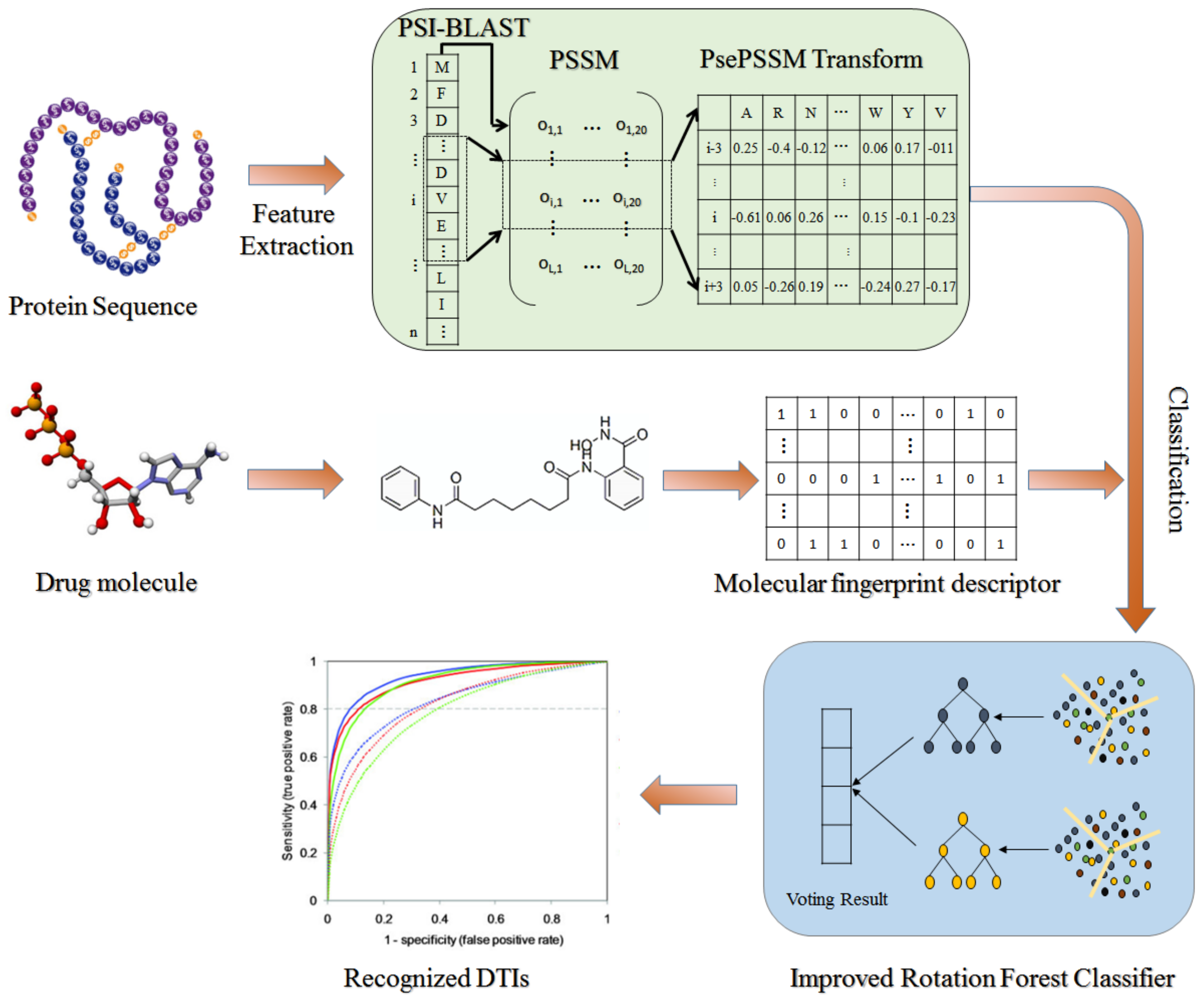 Biology 11 00741 g001