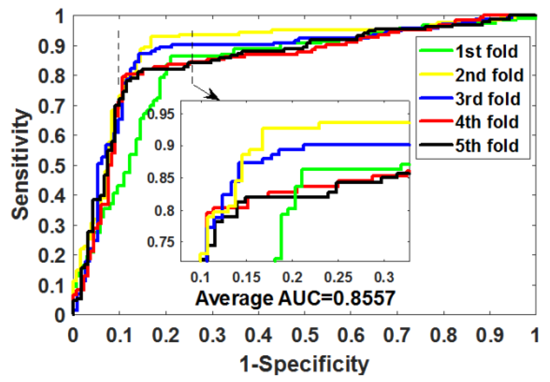 Biology 11 00741 g005