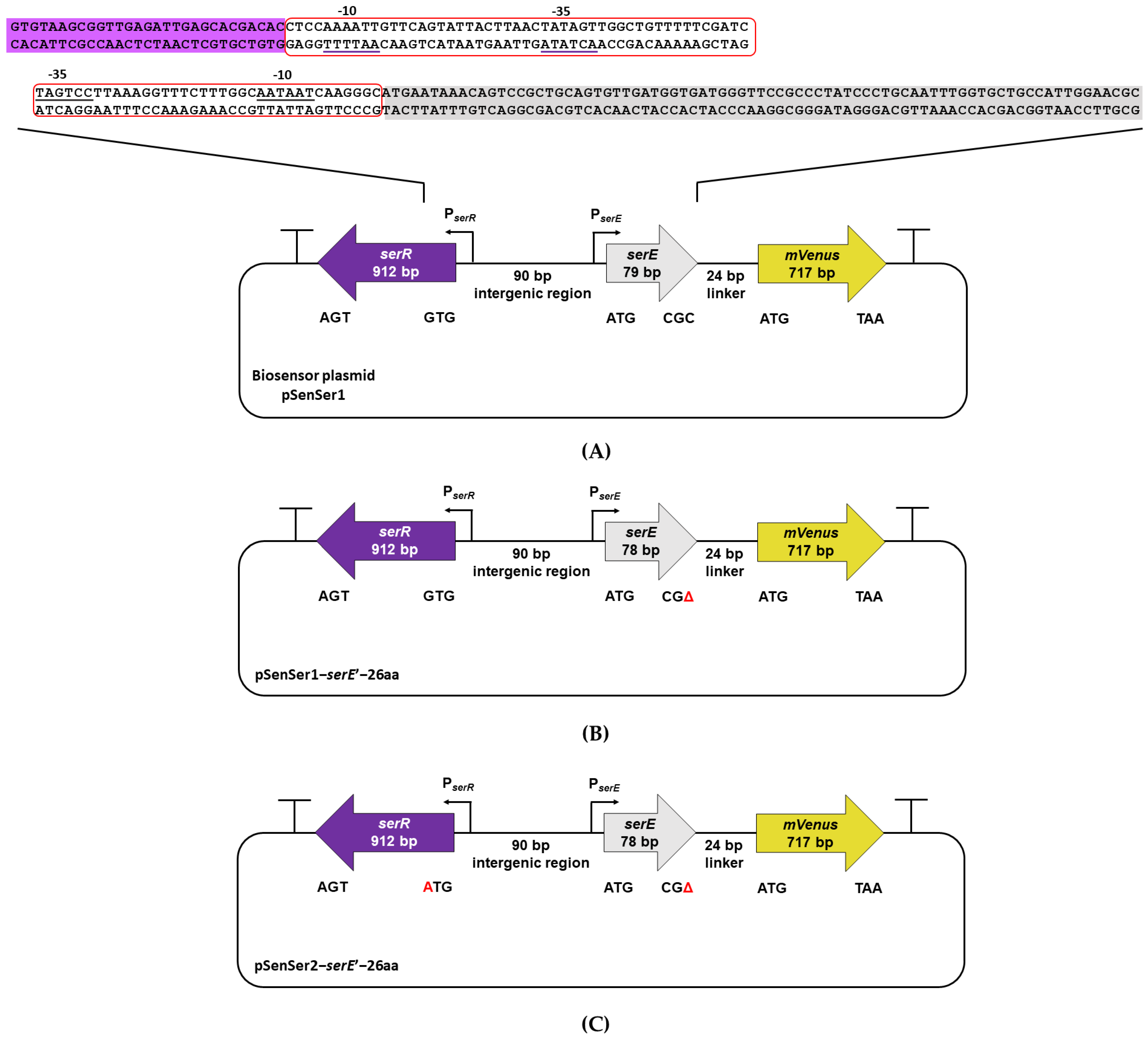Biology 11 00744 g001