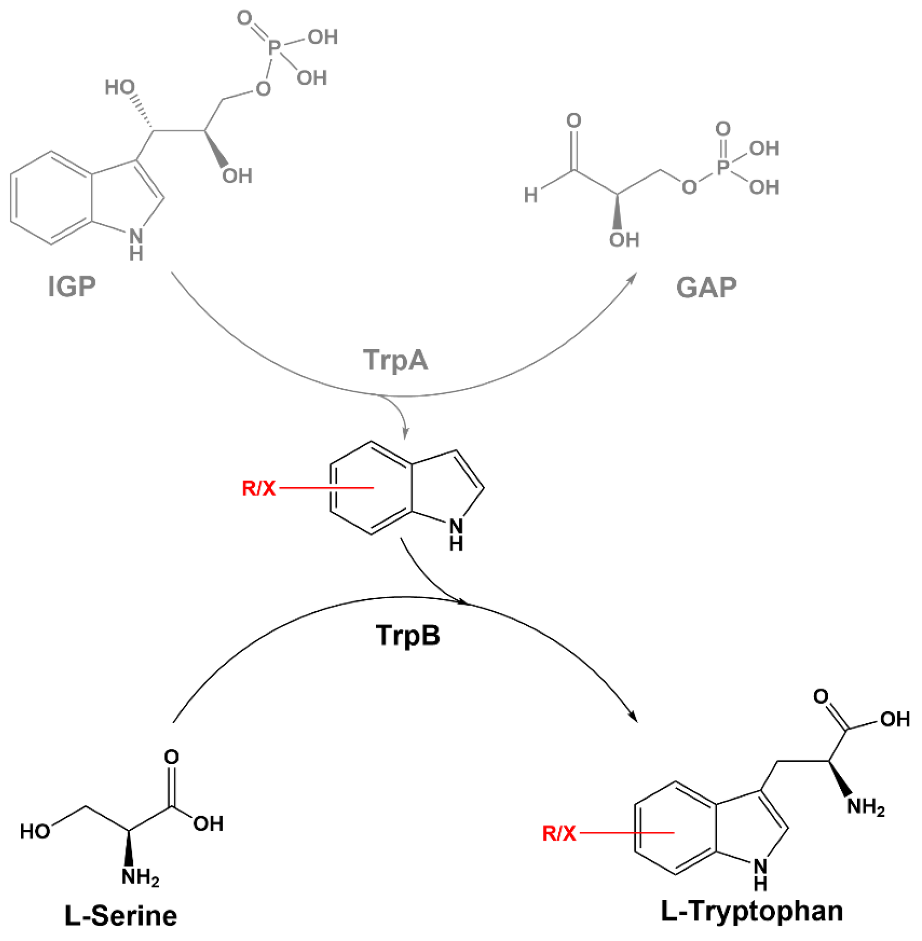 Biology 11 00744 sch001