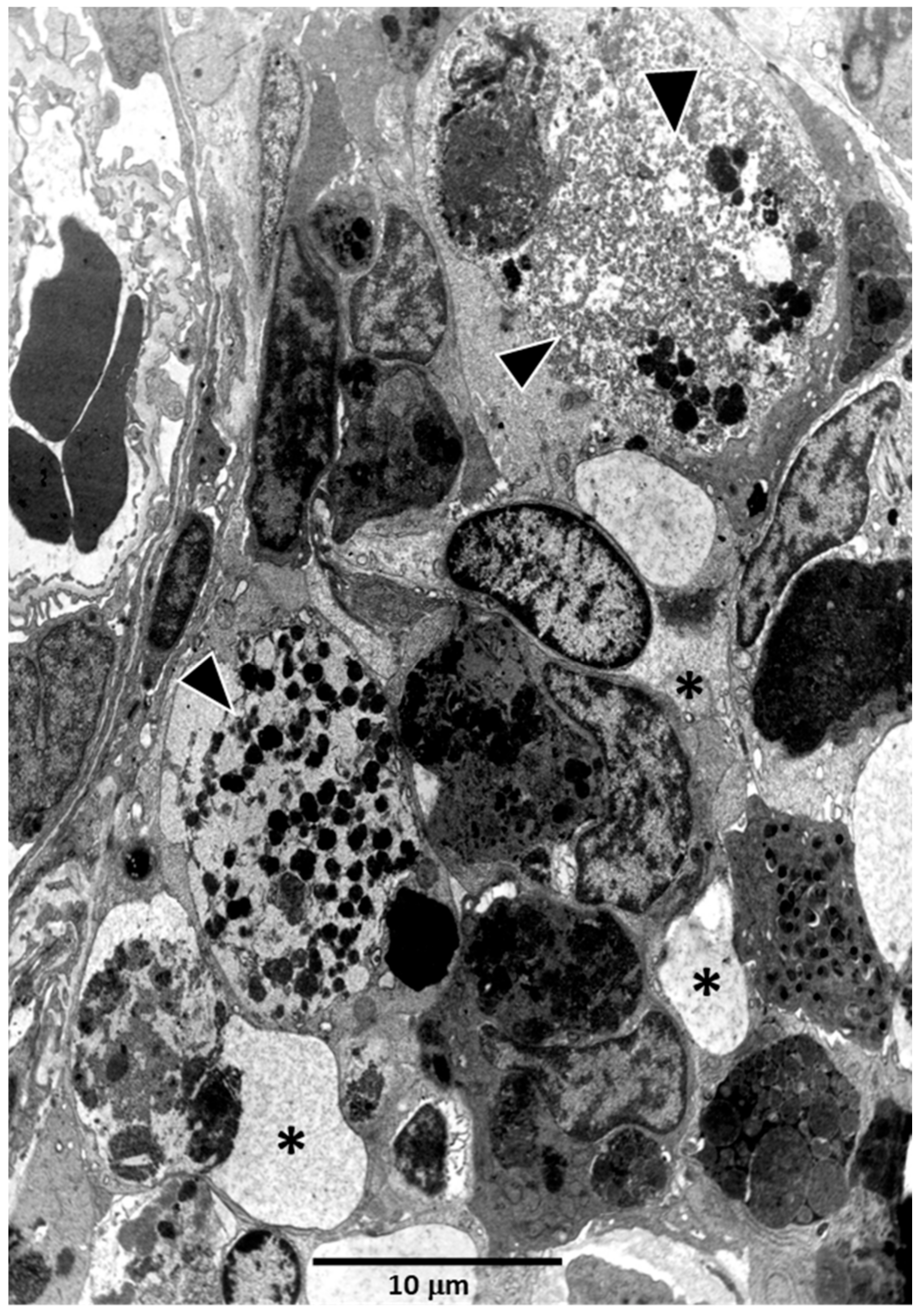 Biology 11 00747 g004