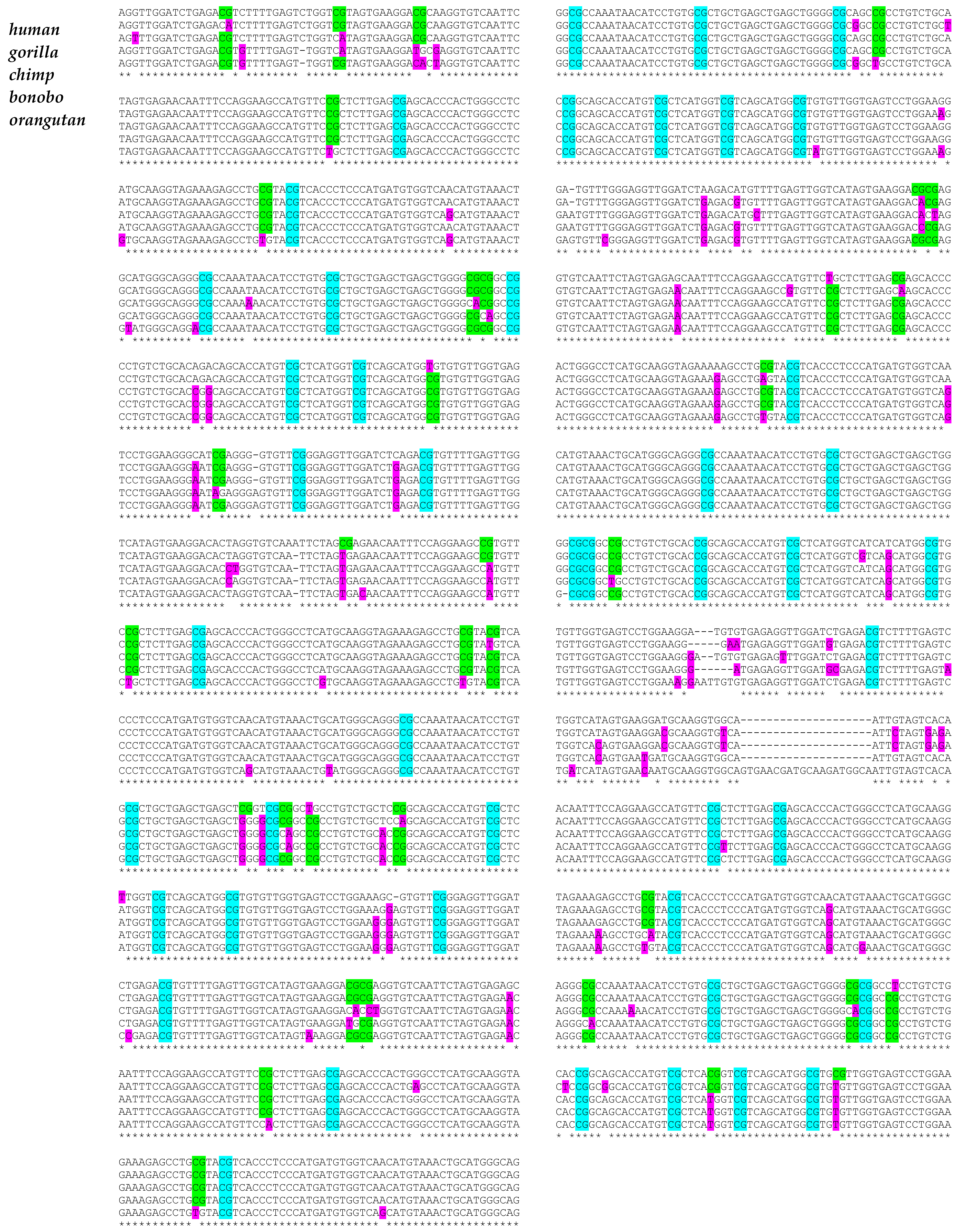 Biology 11 00754 g001