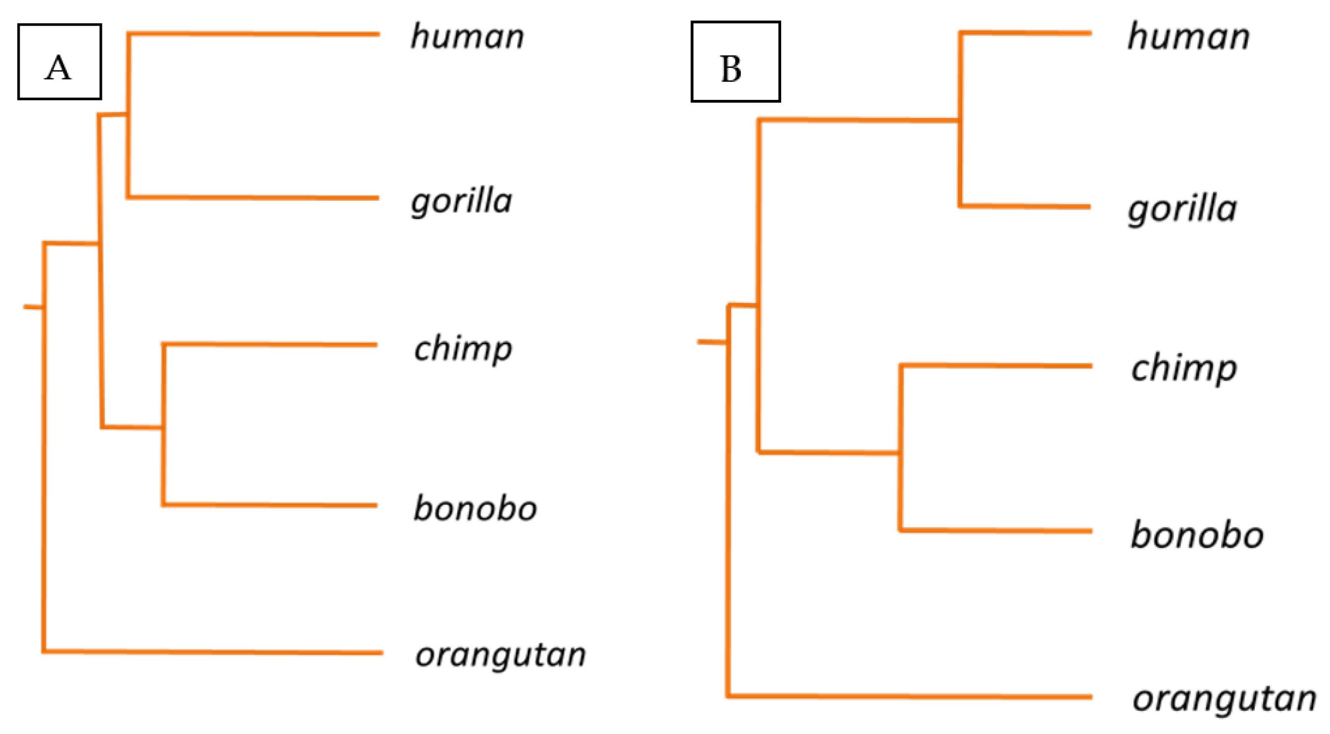 Biology 11 00754 g002