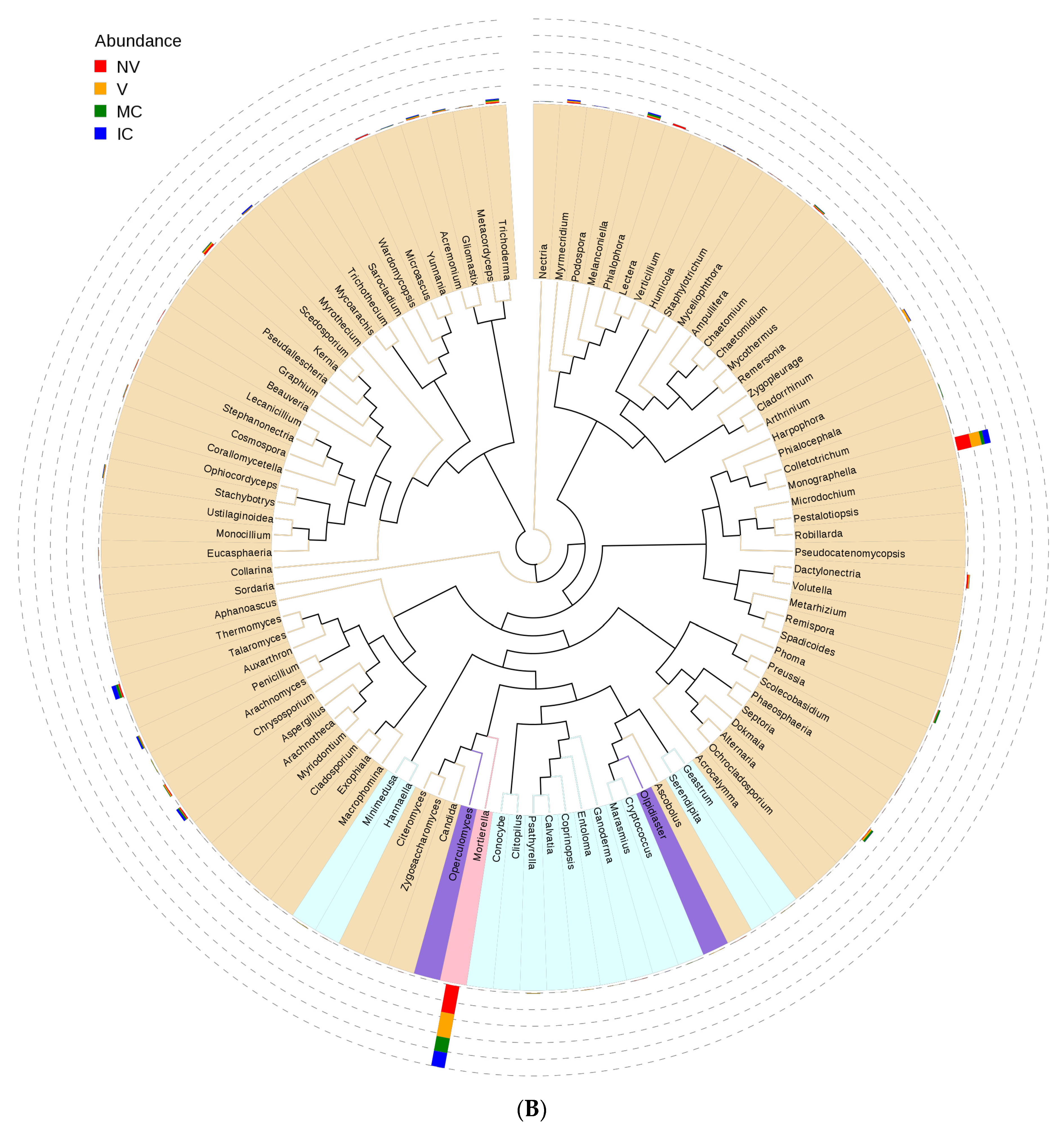 Biology 11 00756 g004b
