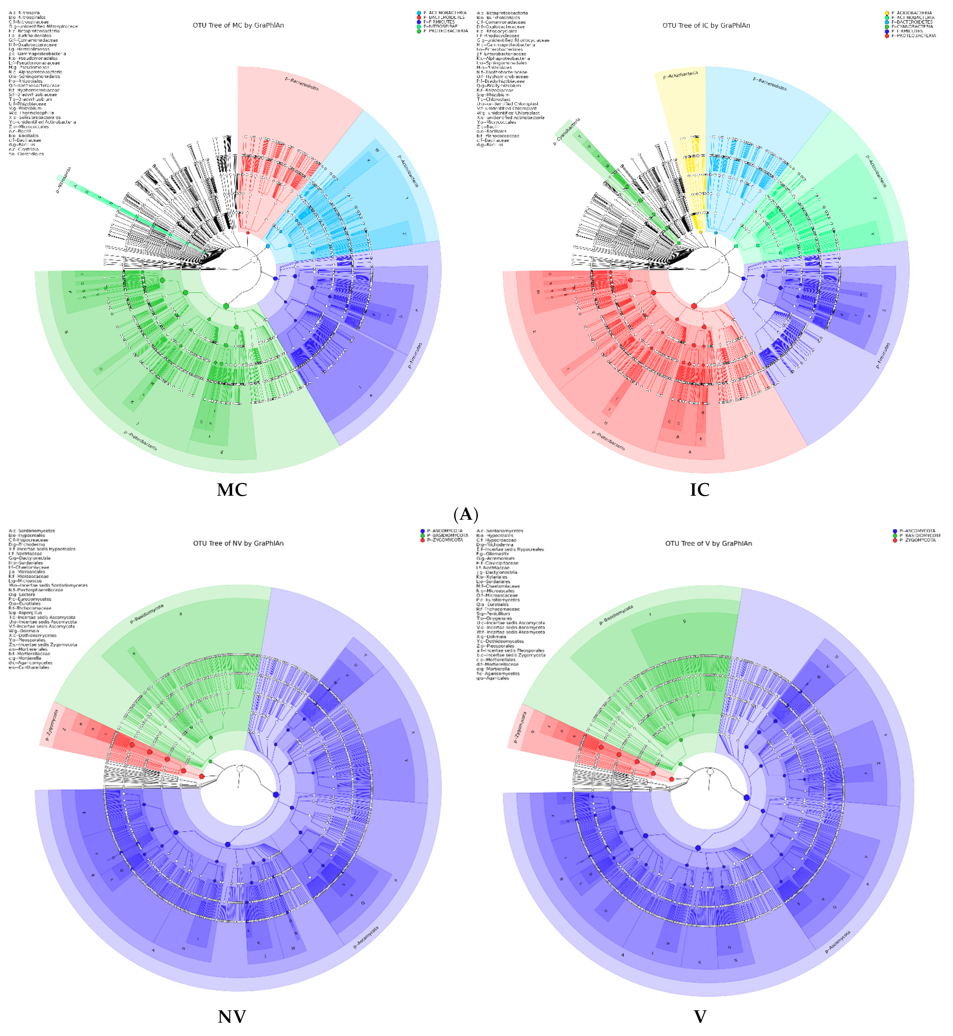Biology 11 00756 g005b
