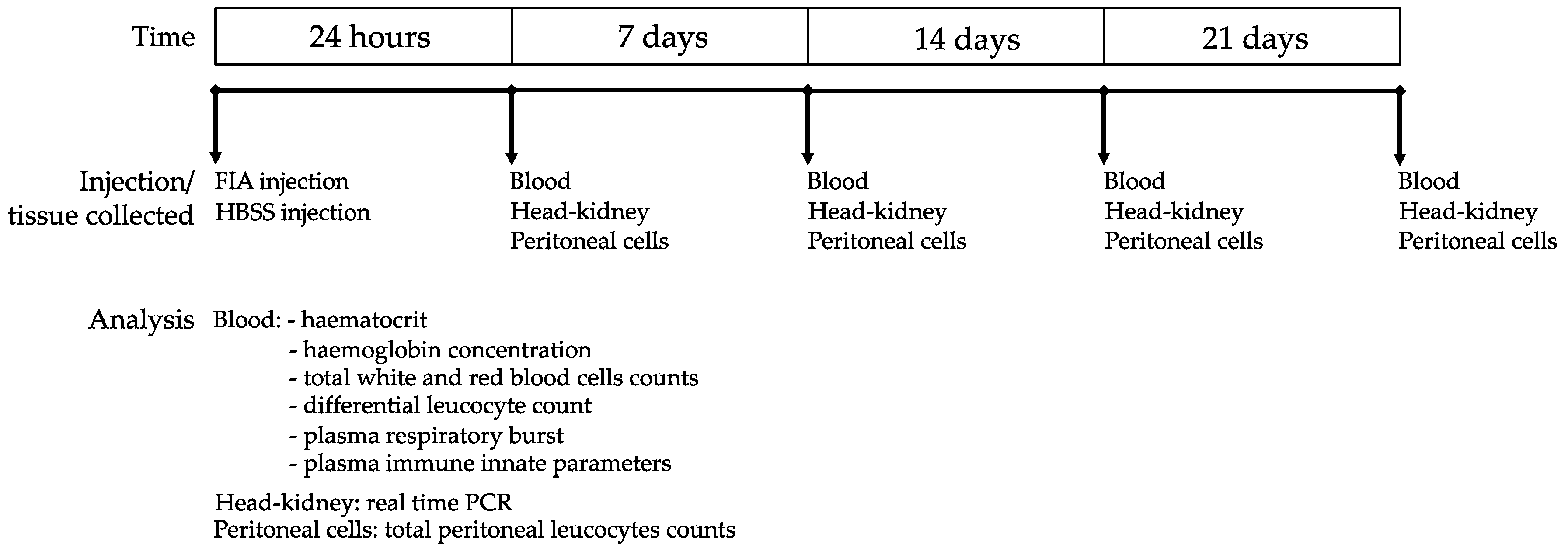 Biology 11 00764 g001