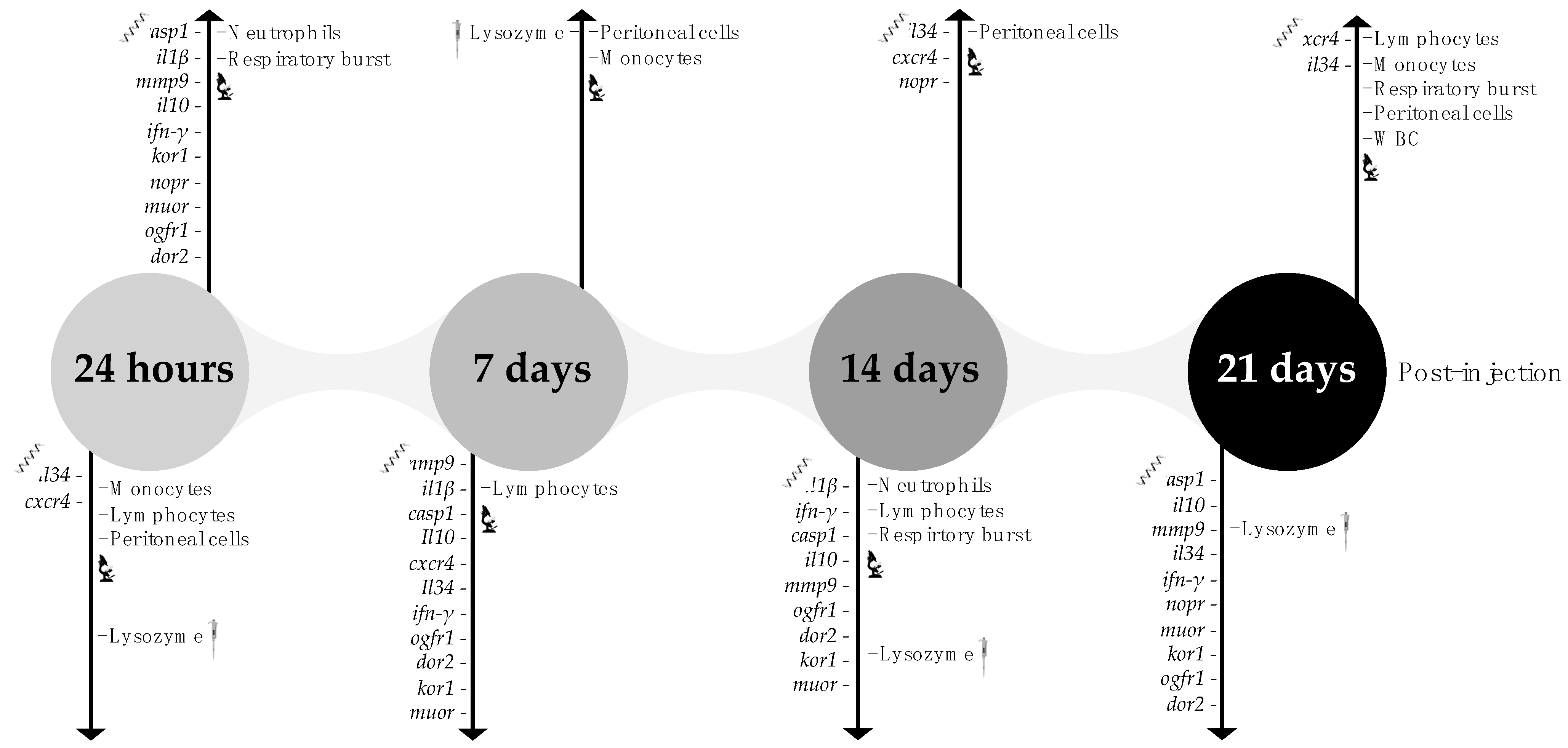 Biology 11 00764 g009