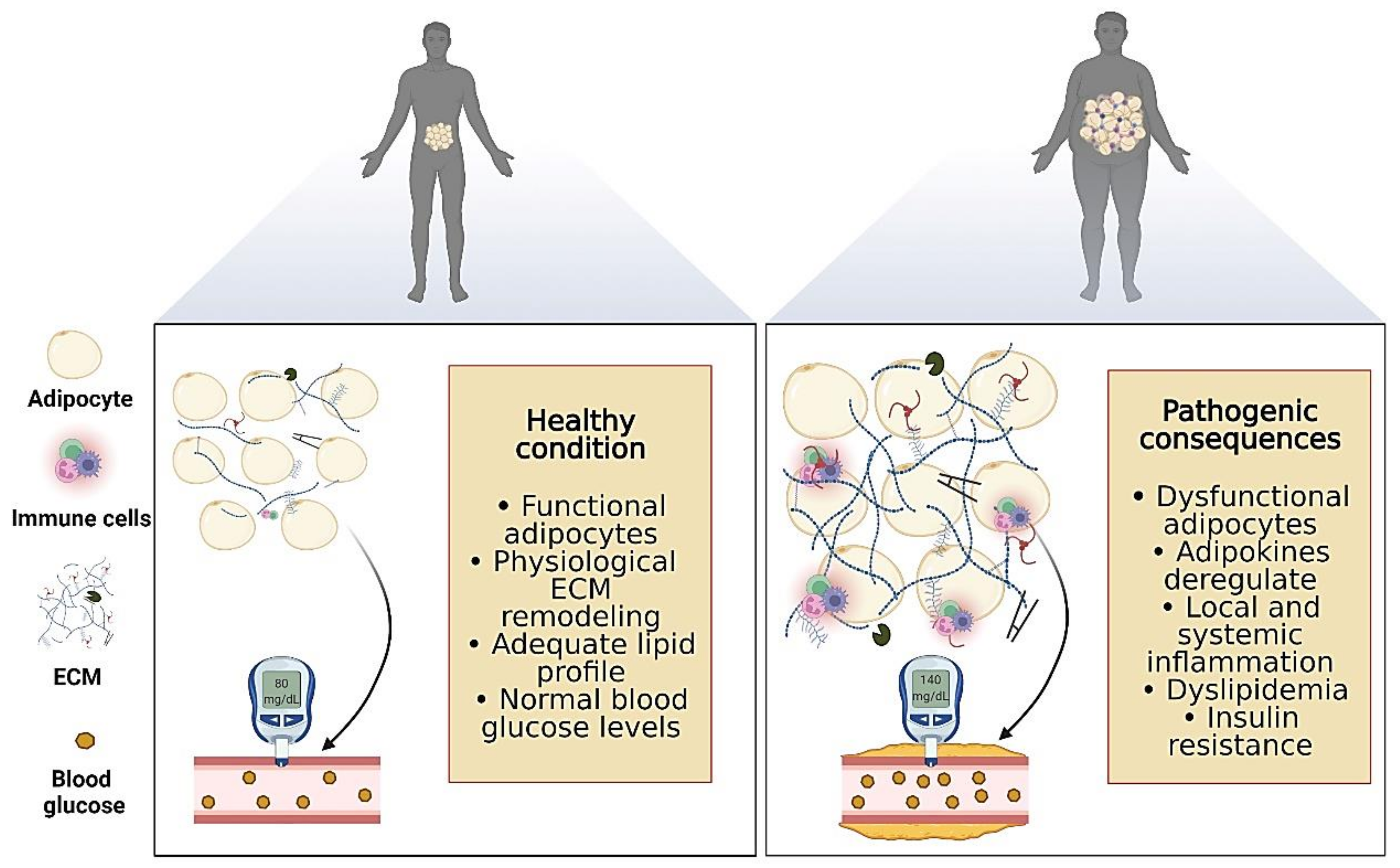 Biology 11 00765 g003 Biology 11 00765 g003