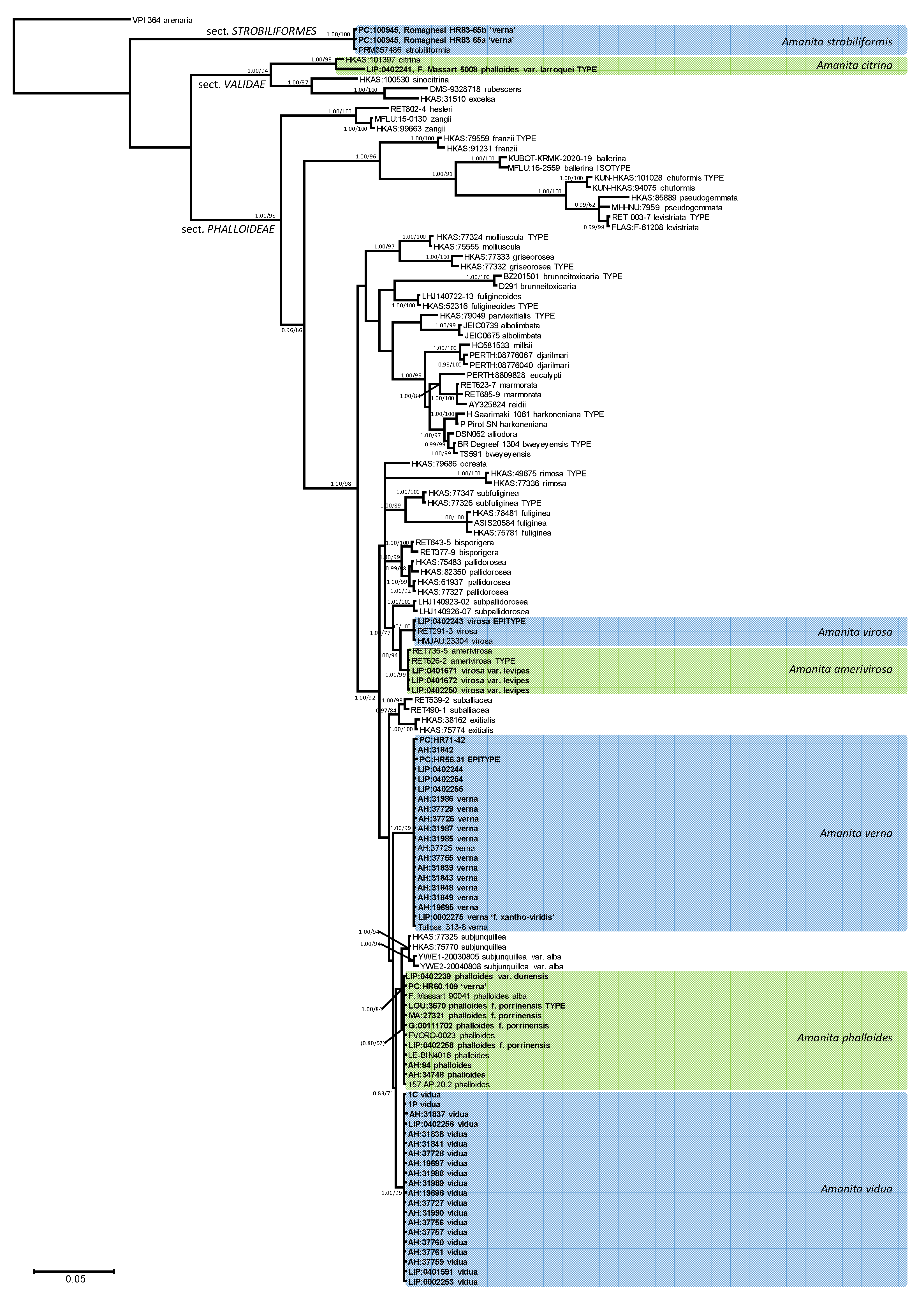 Biology 11 00770 g001