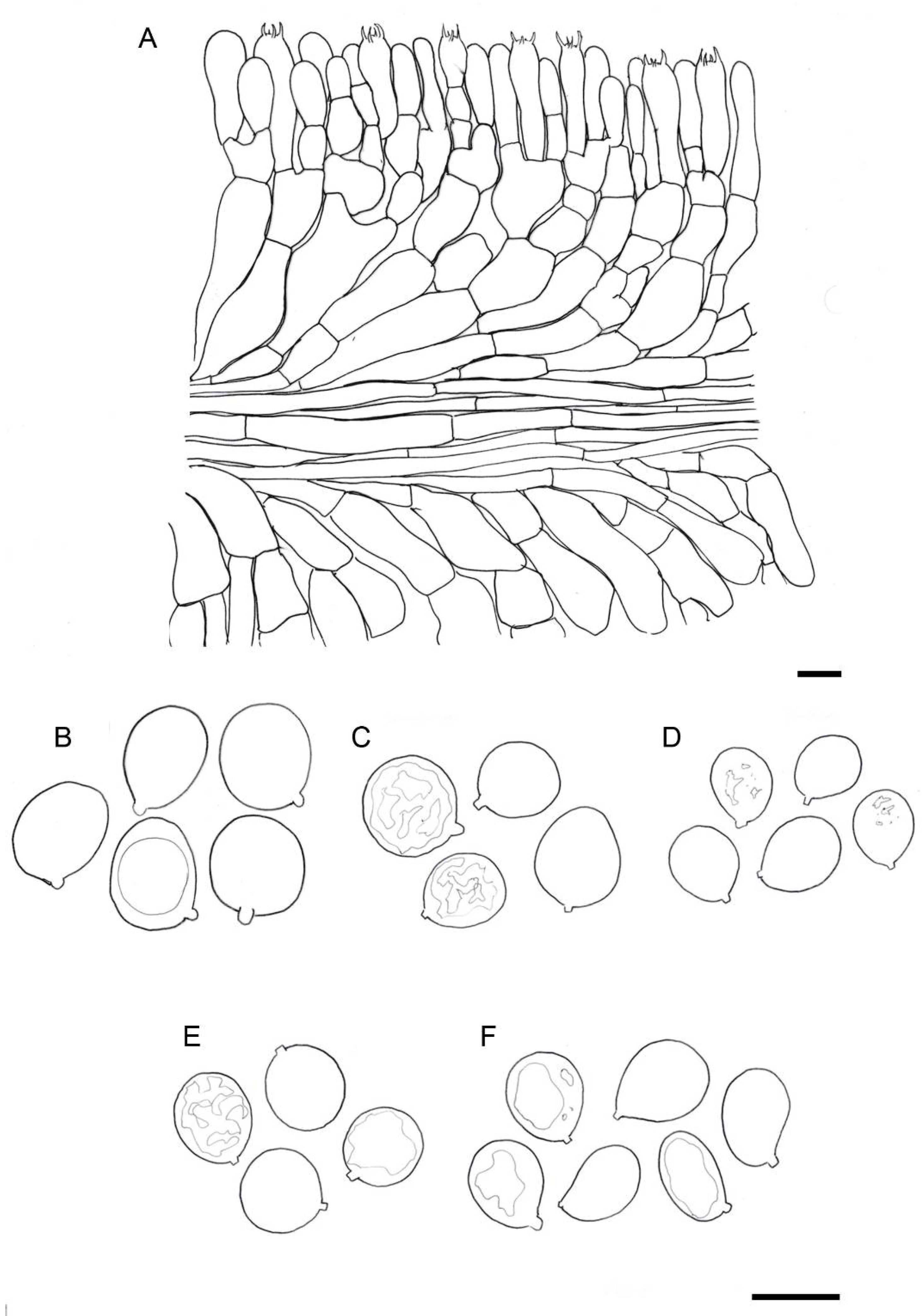 Biology 11 00770 g004