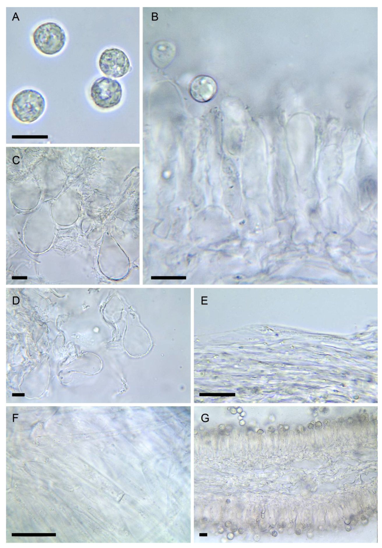 Biology 11 00770 g005