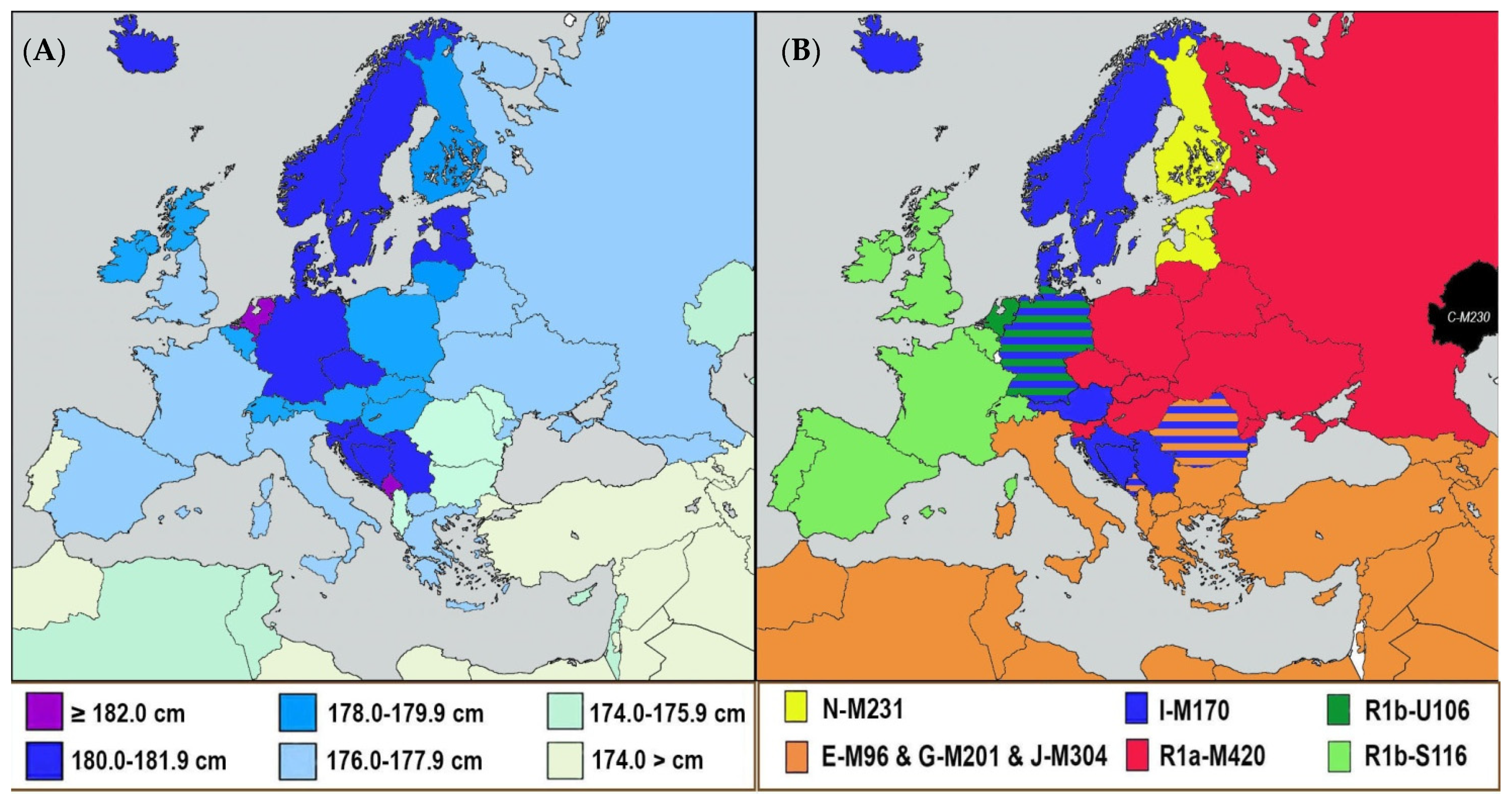 Biology 11 00786 g005
