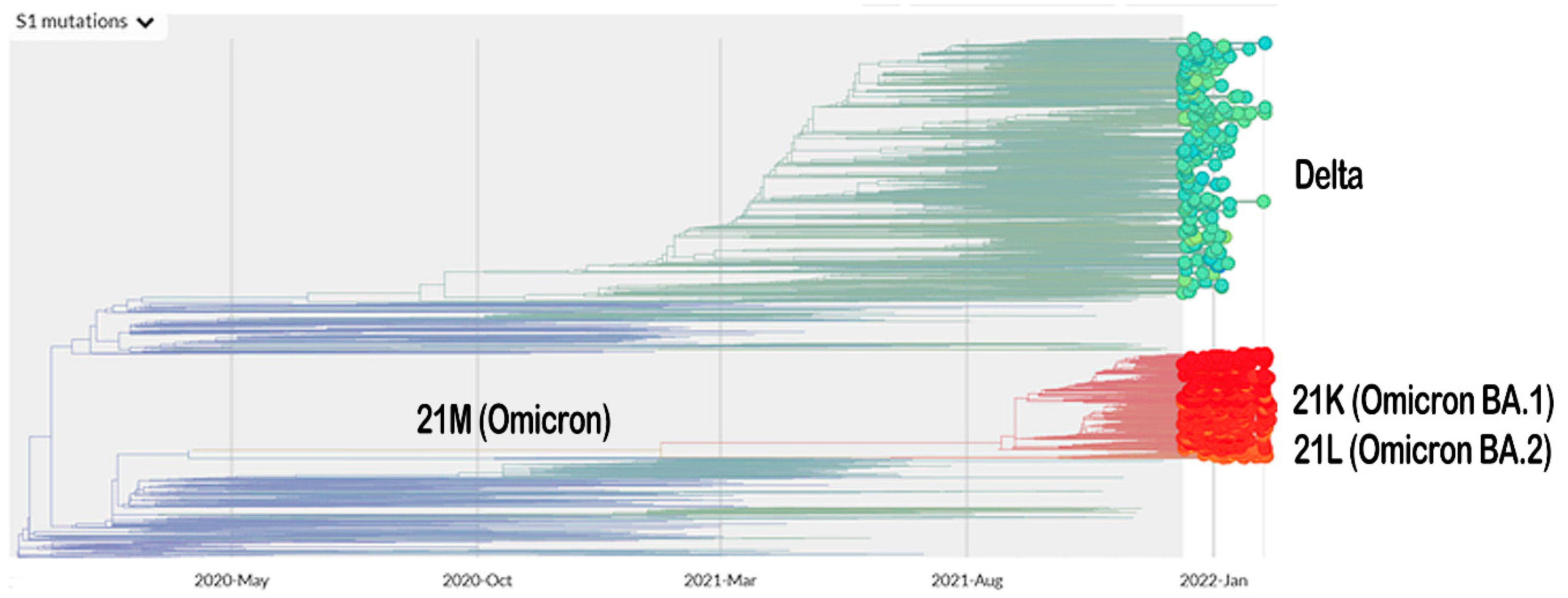 Biology 11 00797 g001