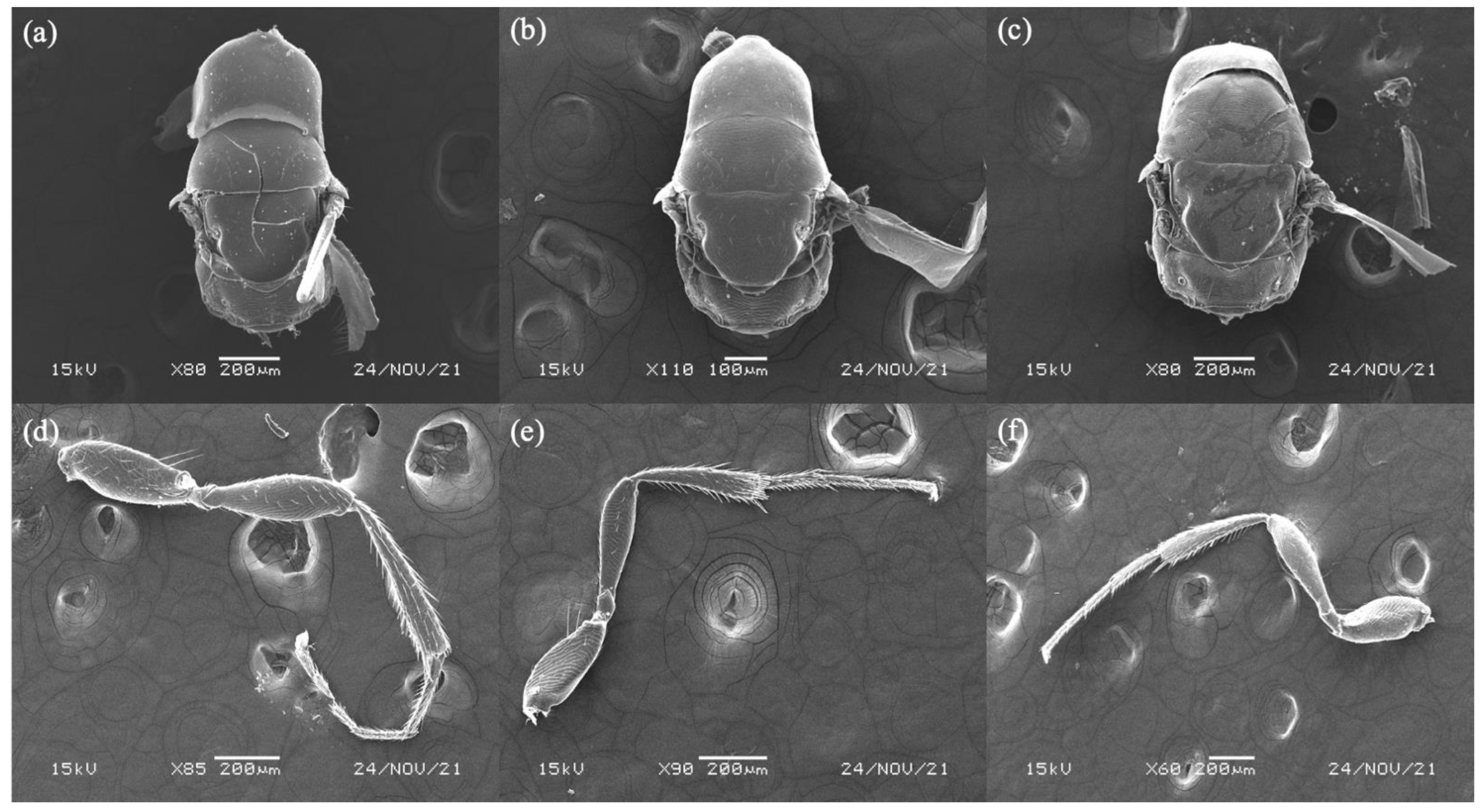 Biology 11 00801 g003