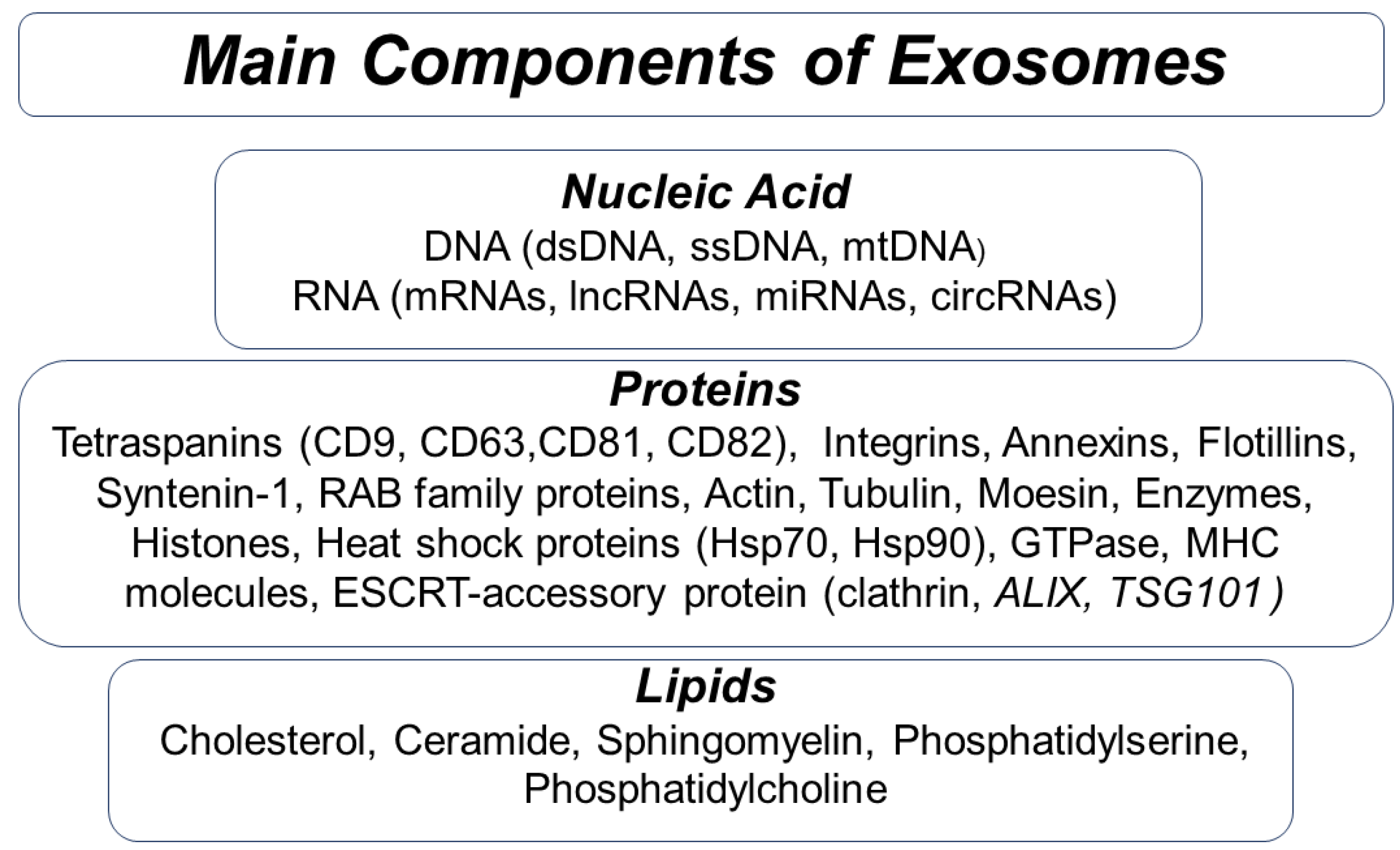 Biology 11 00804 g002