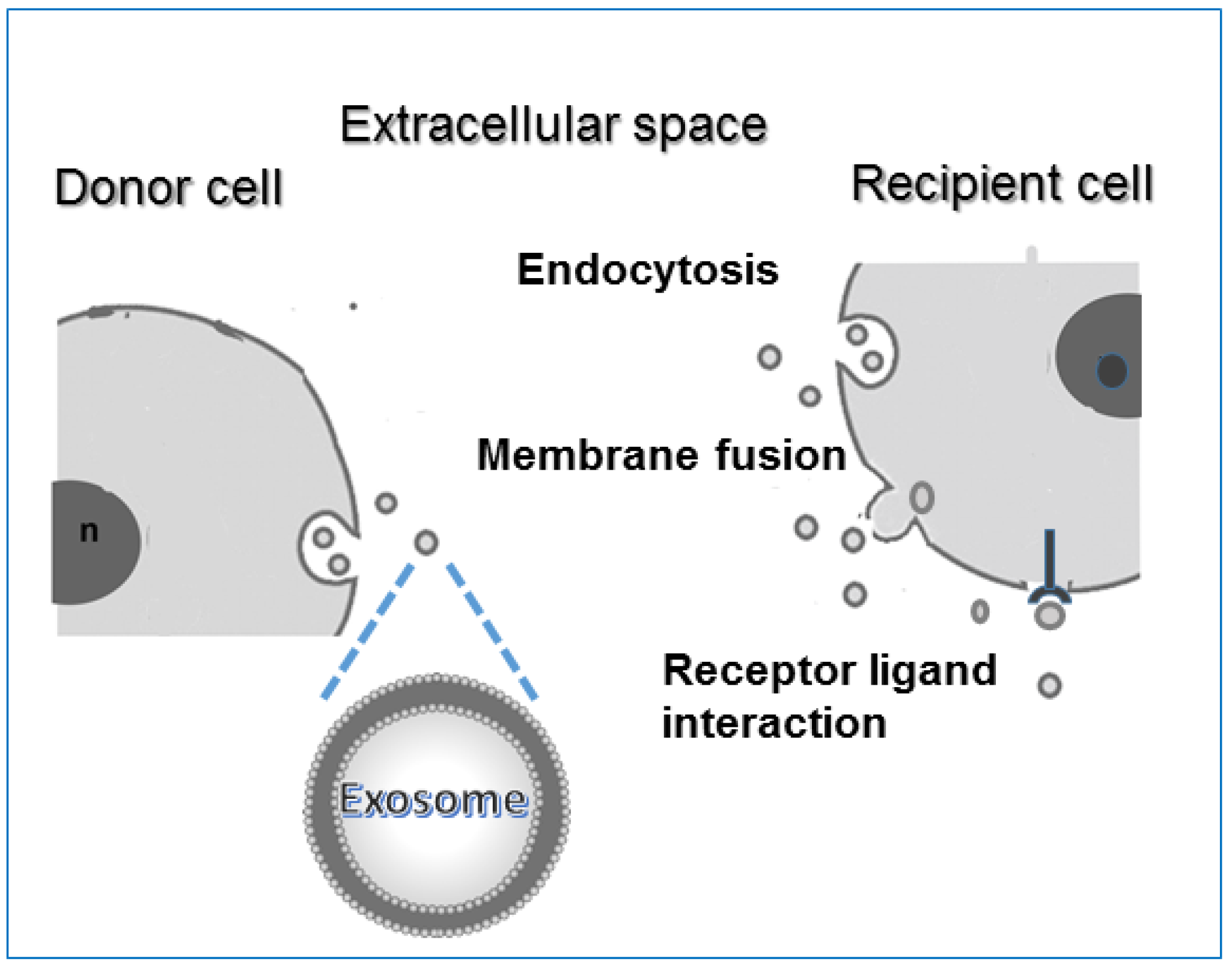 Biology 11 00804 g003