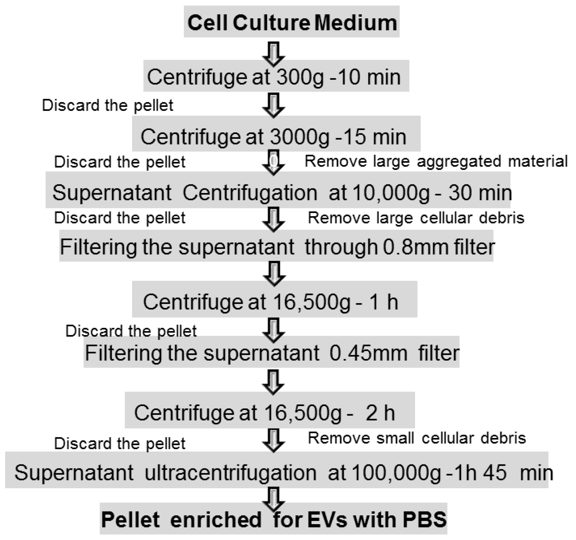 Biology 11 00804 g004