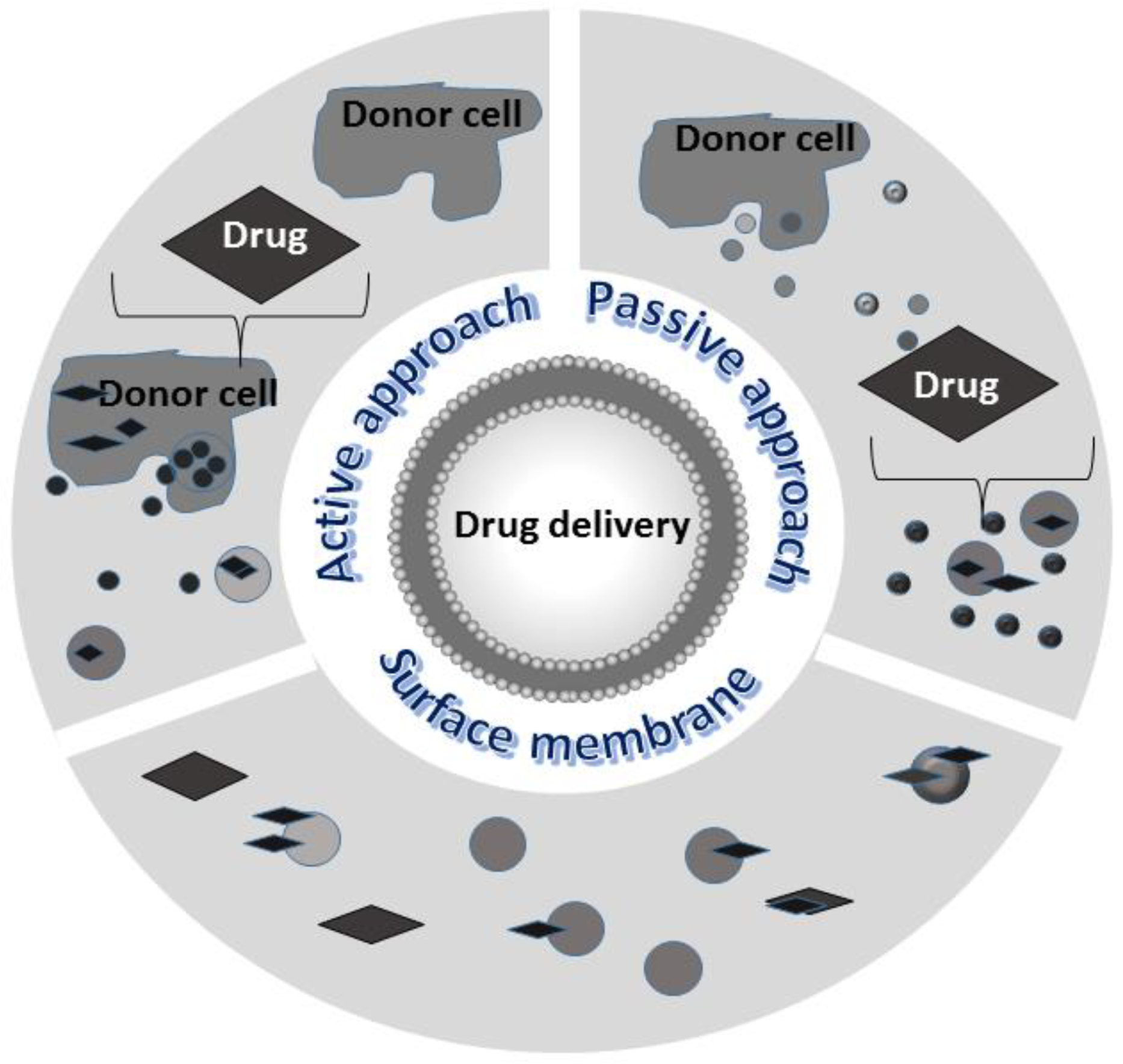 Biology 11 00804 g006