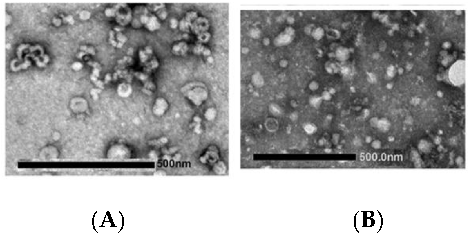 Biology 11 00804 g008