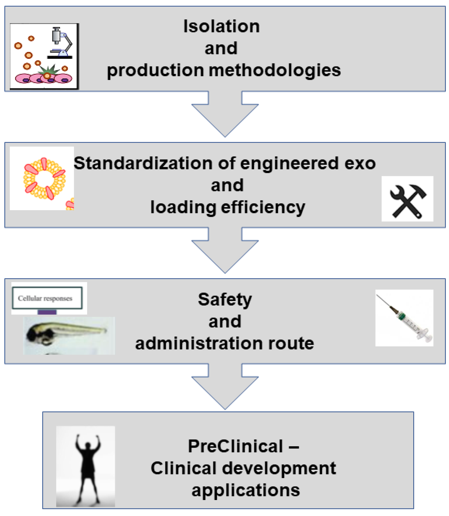 Biology 11 00804 g011