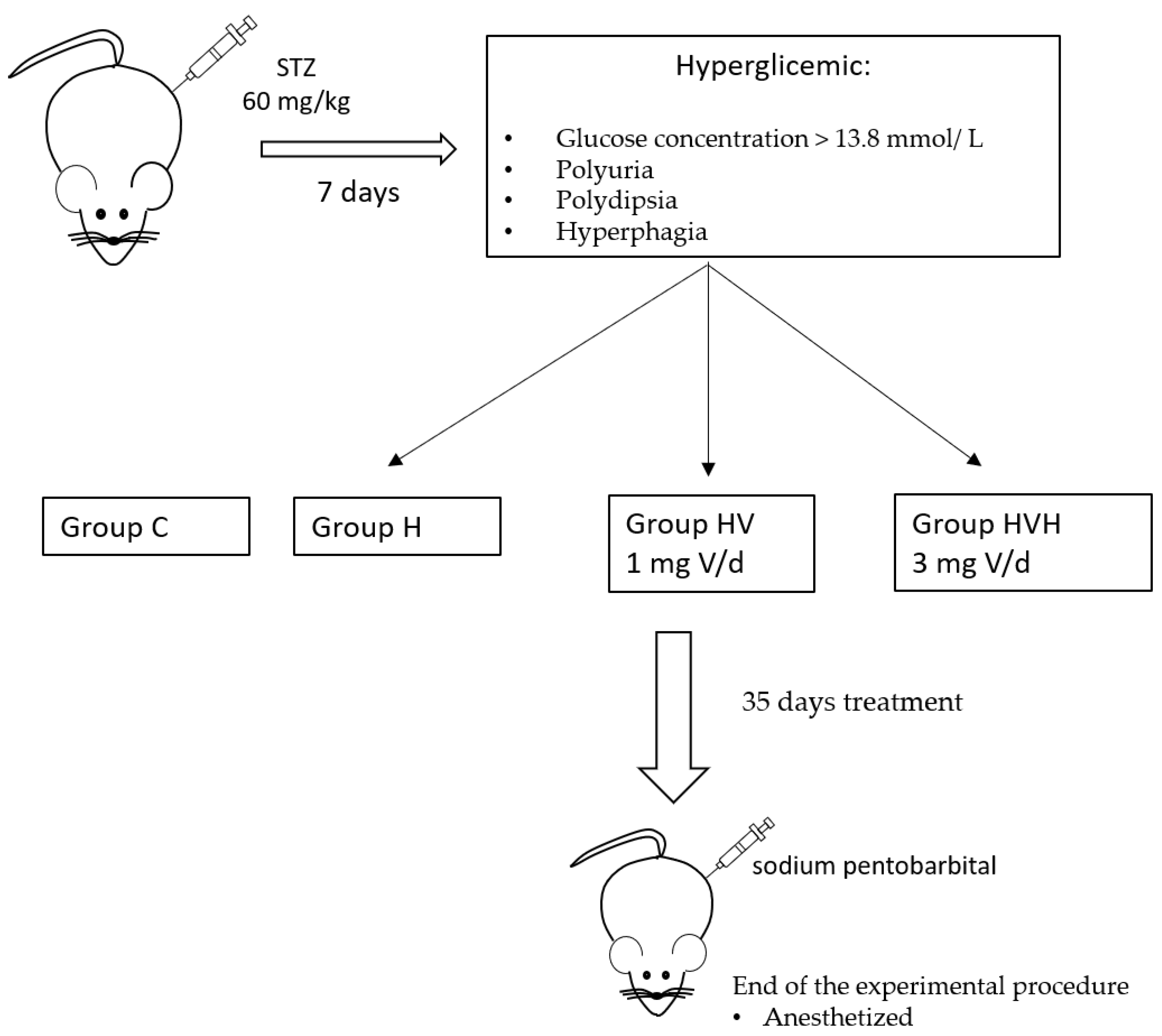 Biology 11 00814 g001