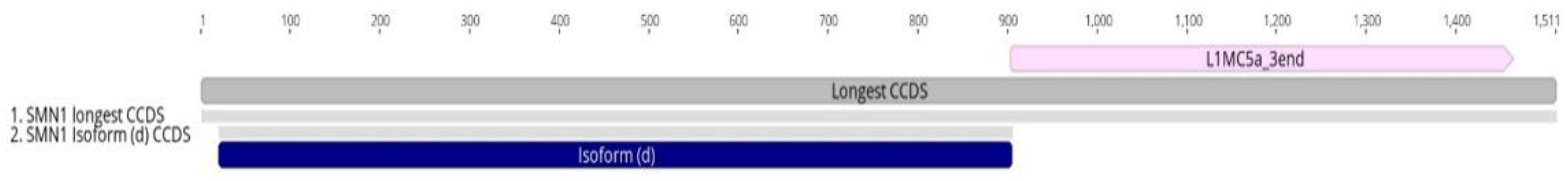 Biology 11 00824 g005 Biology 11 00824 g005