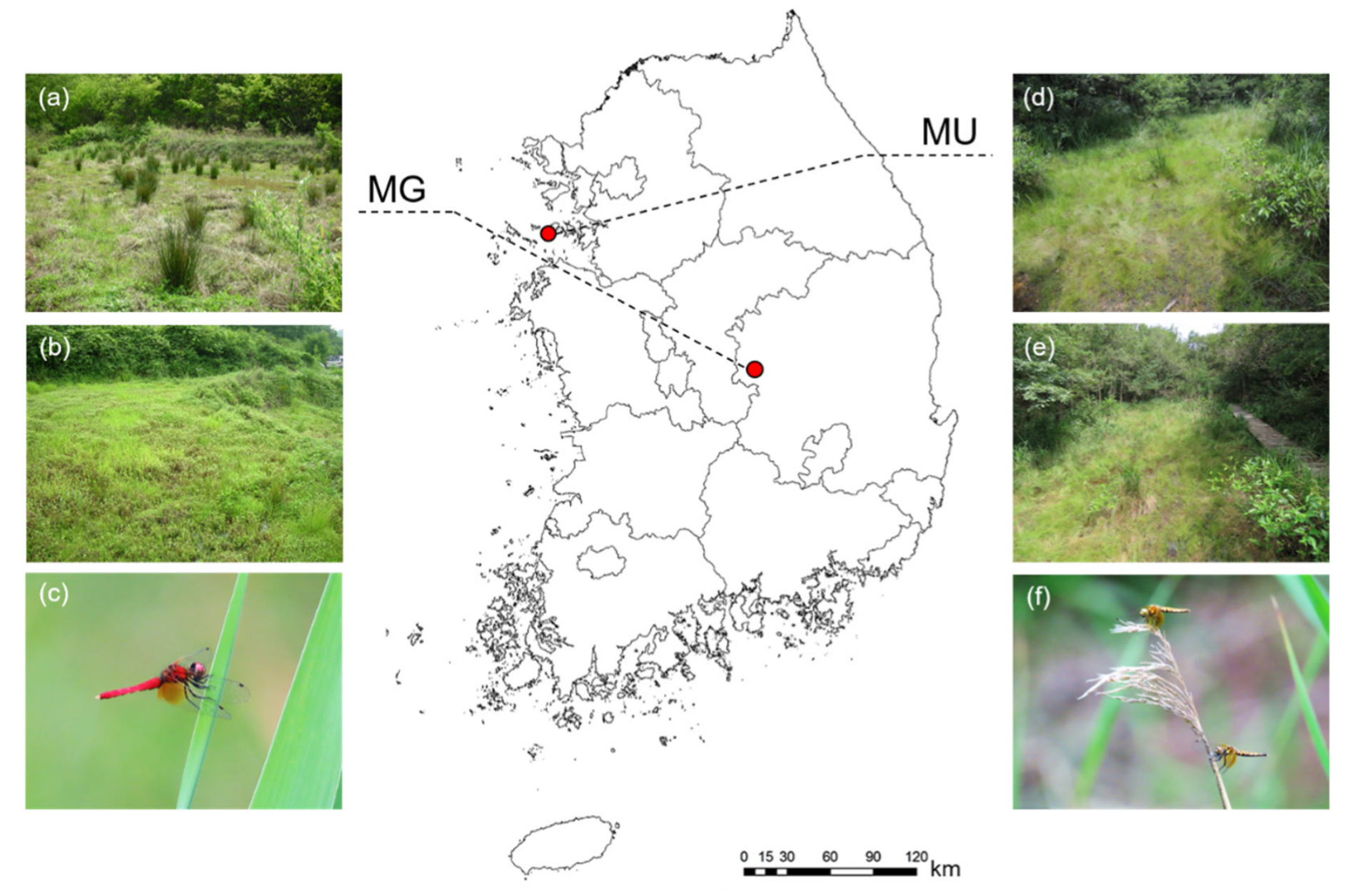 Biology 11 00830 g001