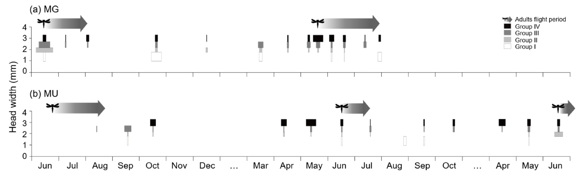 Biology 11 00830 g007