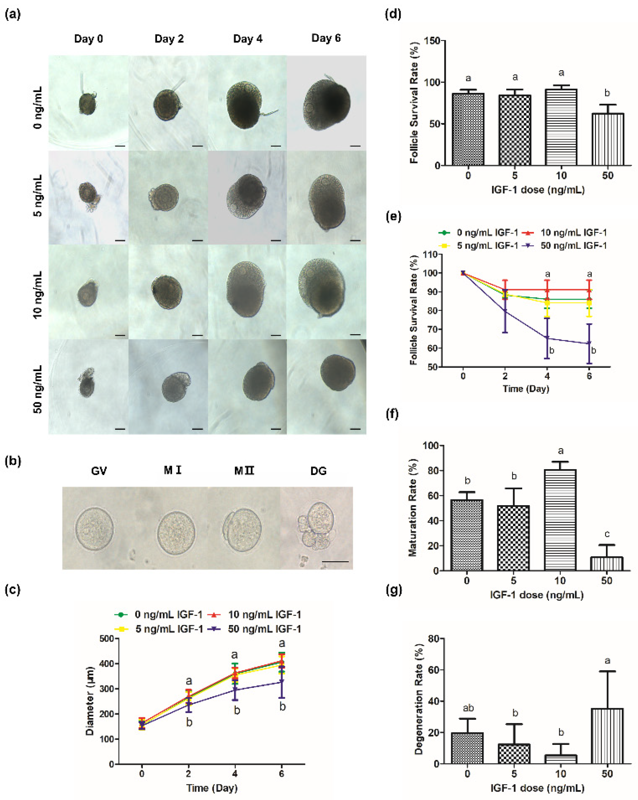 Biology 11 00833 g002
