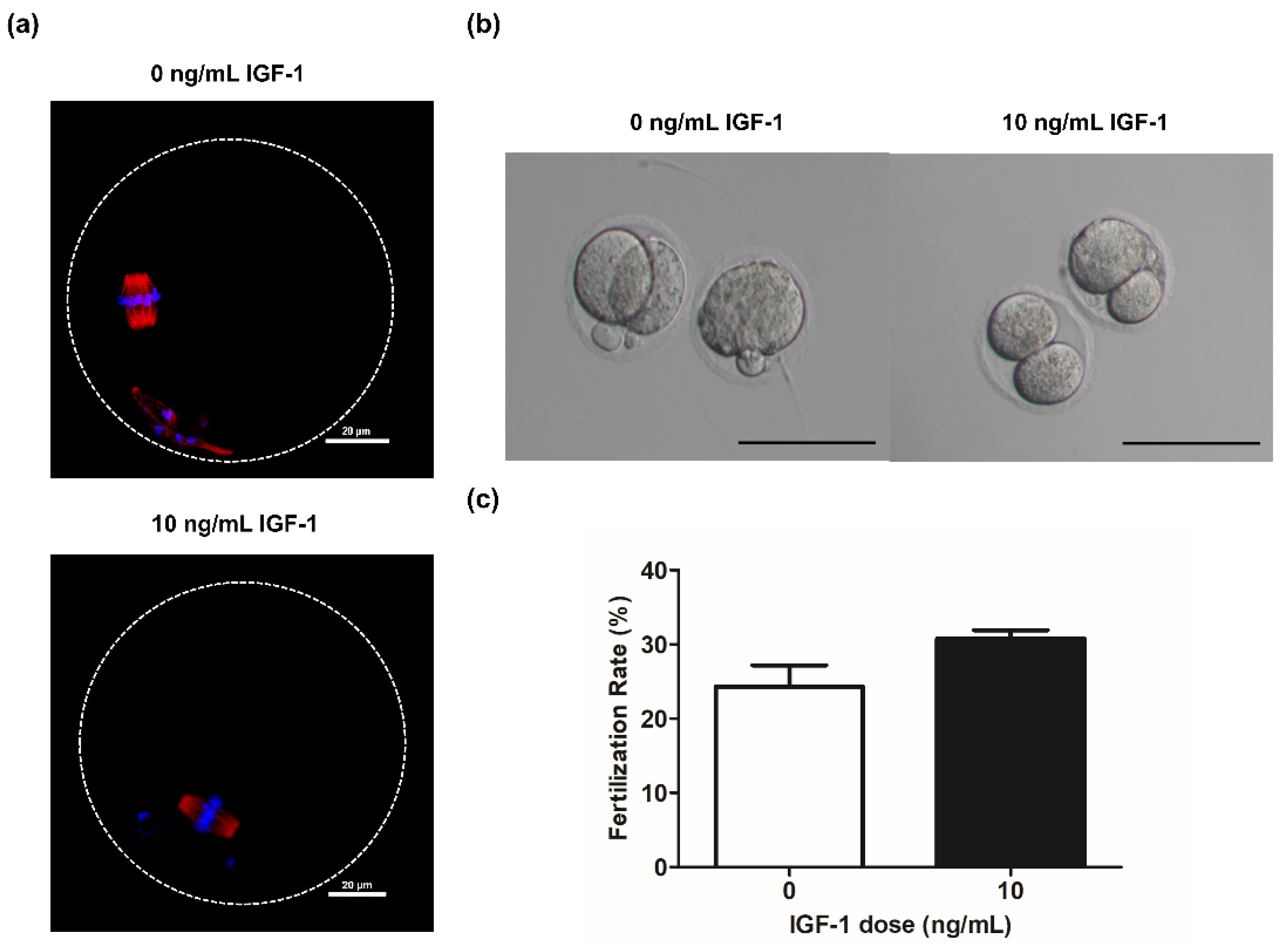 Biology 11 00833 g006