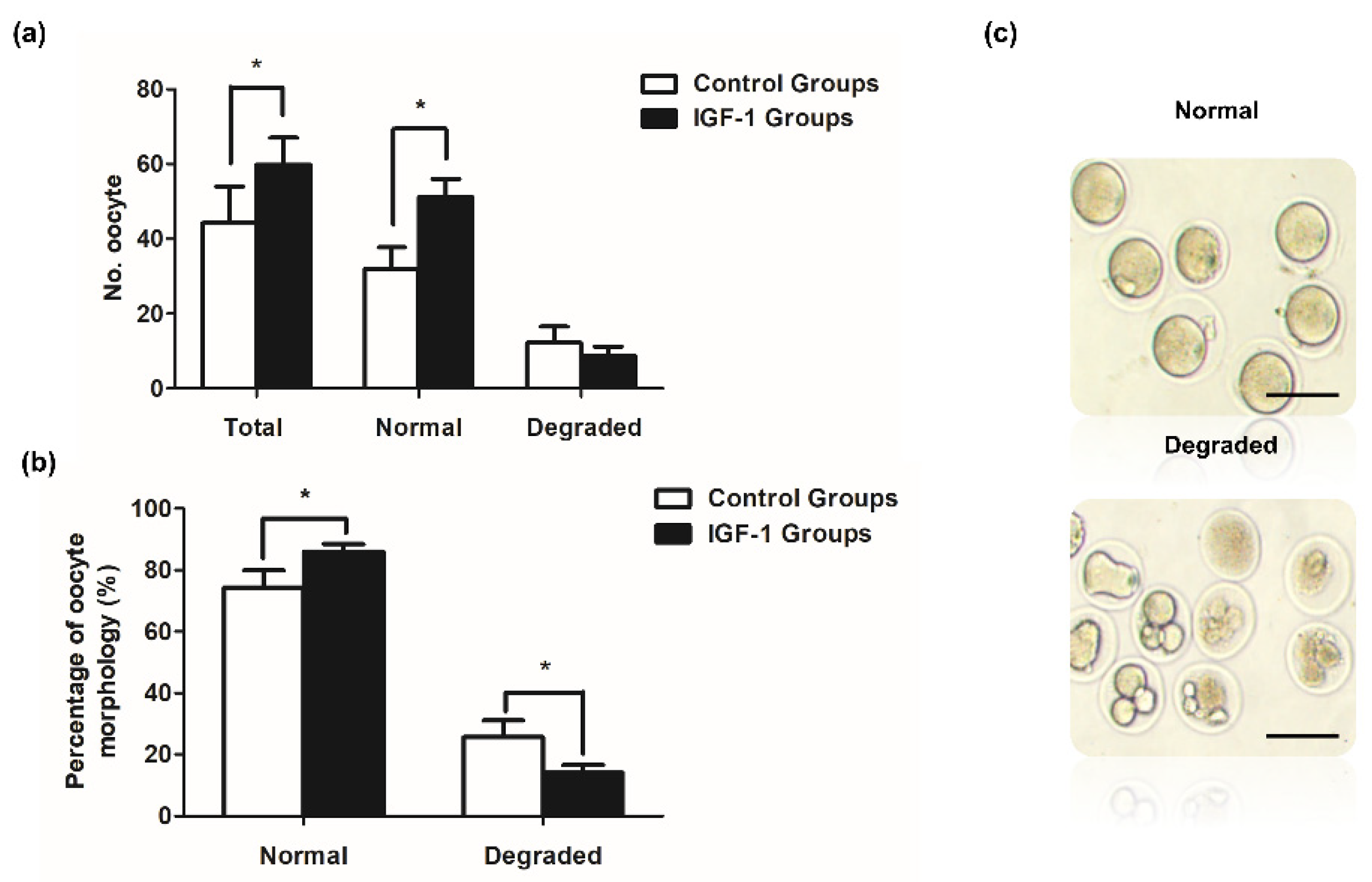 Biology 11 00833 g007