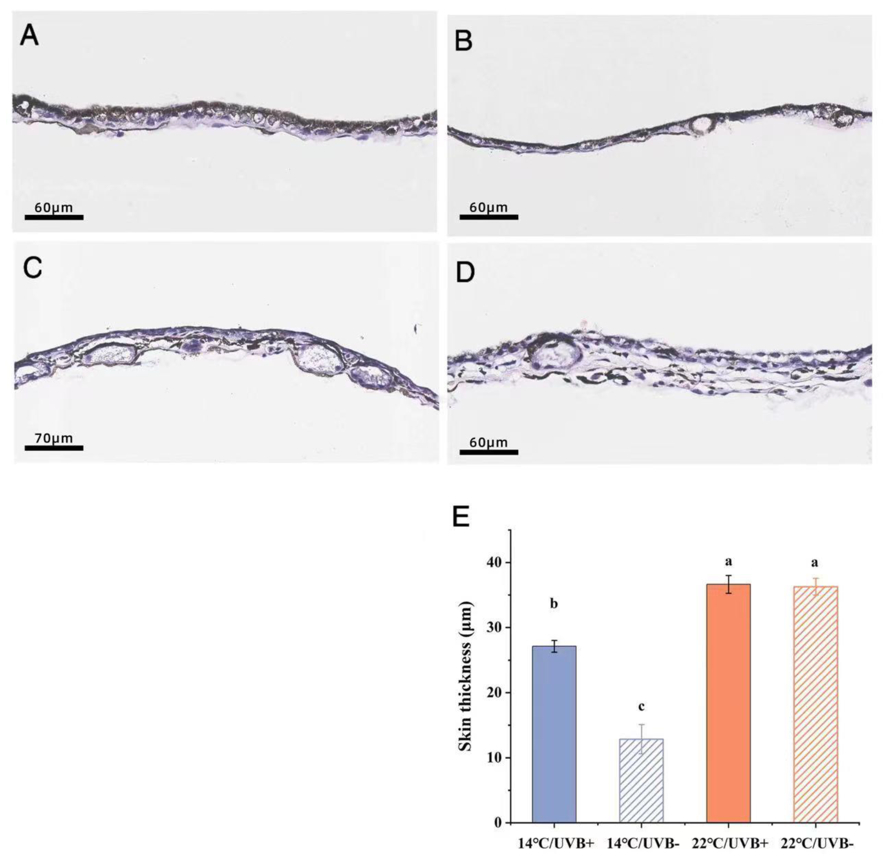 Biology 11 00838 g006 Biology 11 00838 g006