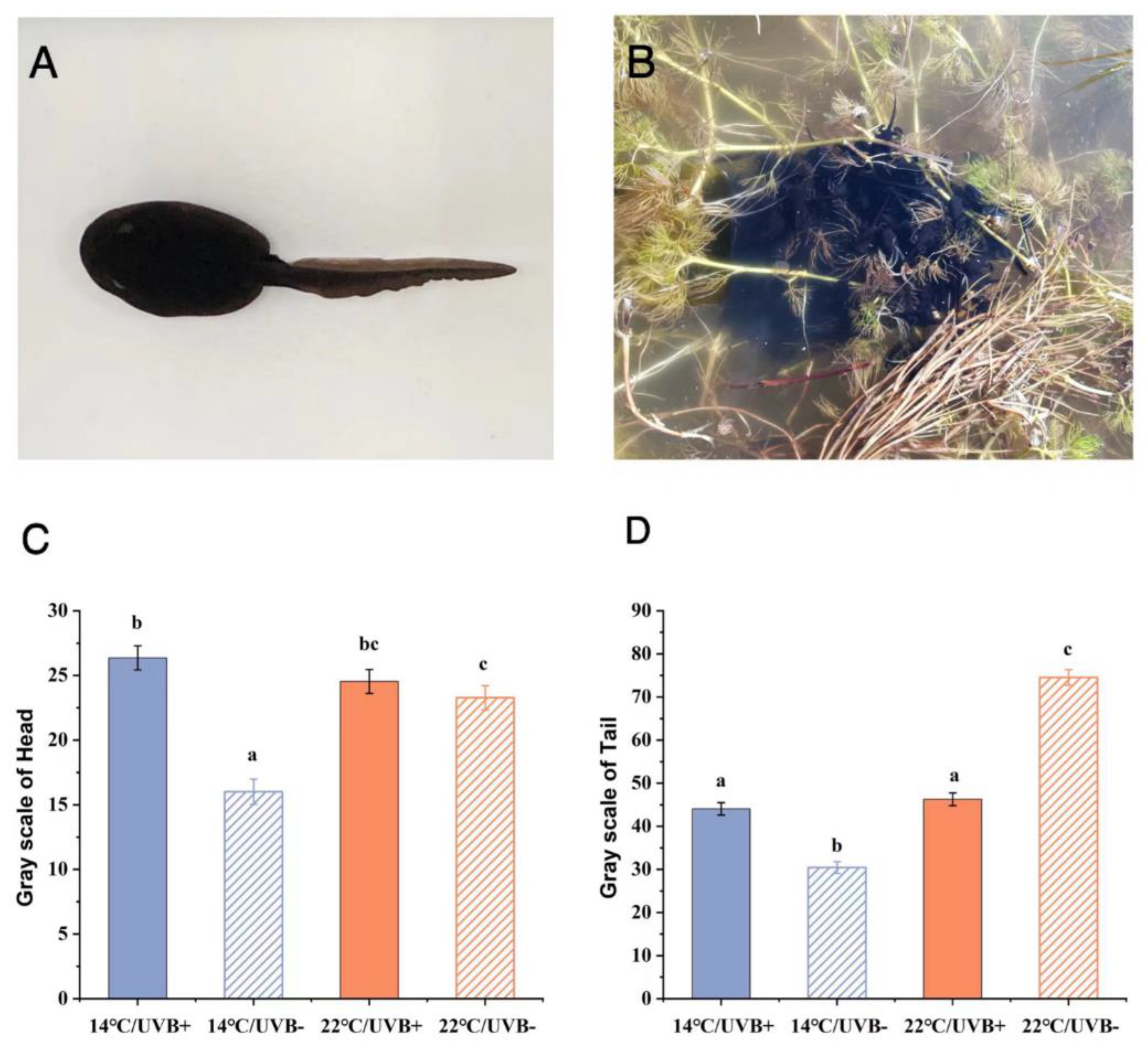 Biology 11 00838 g007 Biology 11 00838 g007