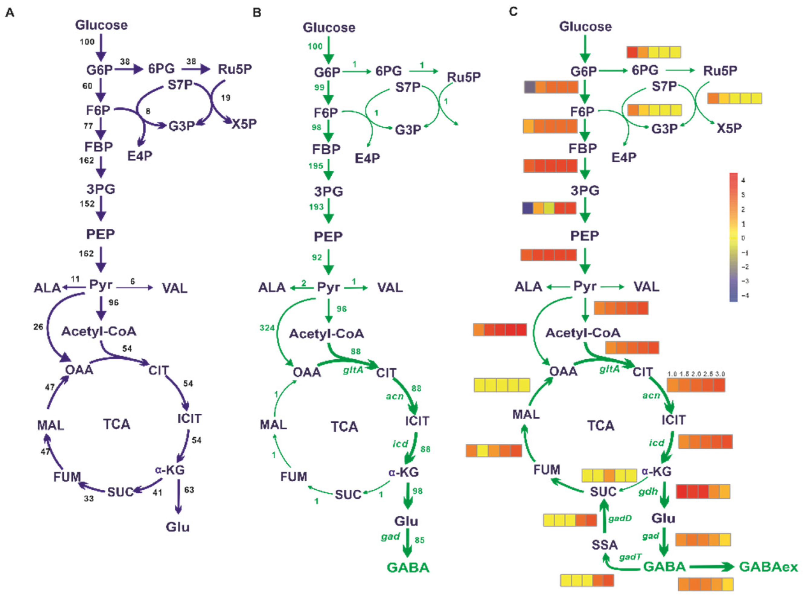 Biology 11 00846 g001