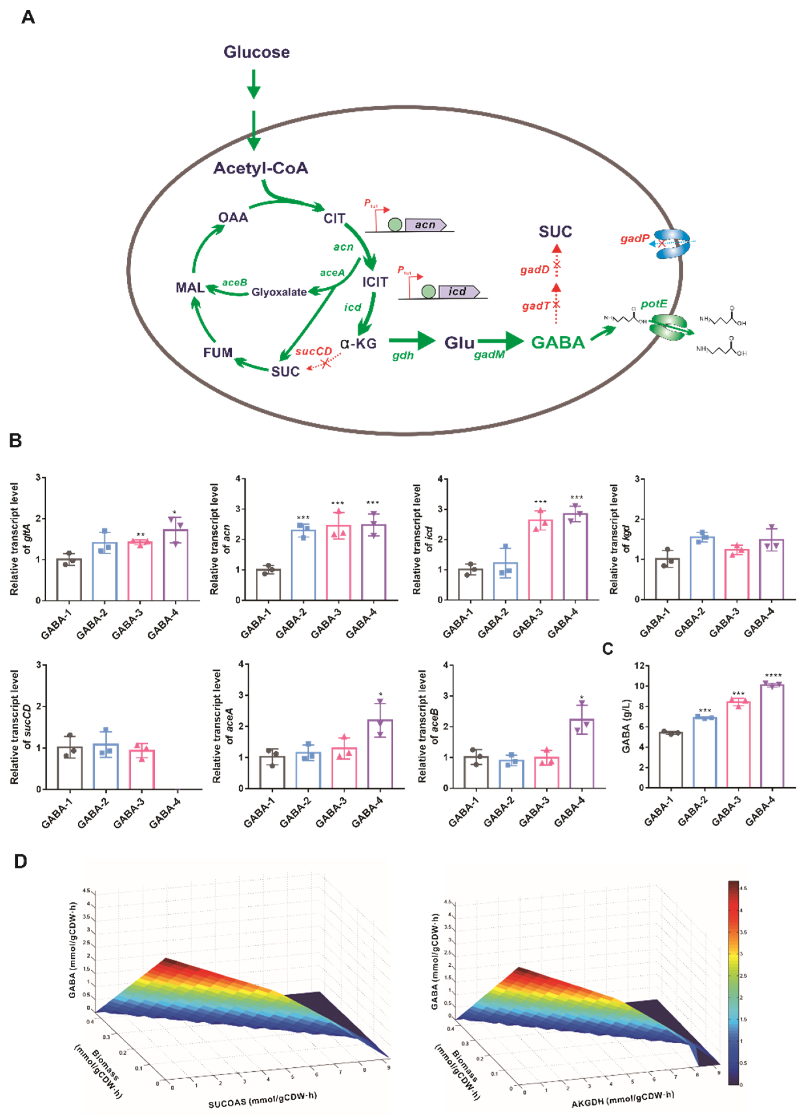 Biology 11 00846 g003