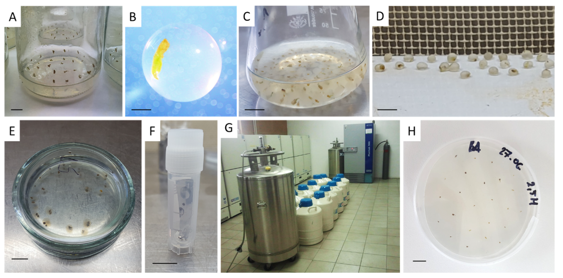 Biology 11 00847 g002 Biology 11 00847 g002
