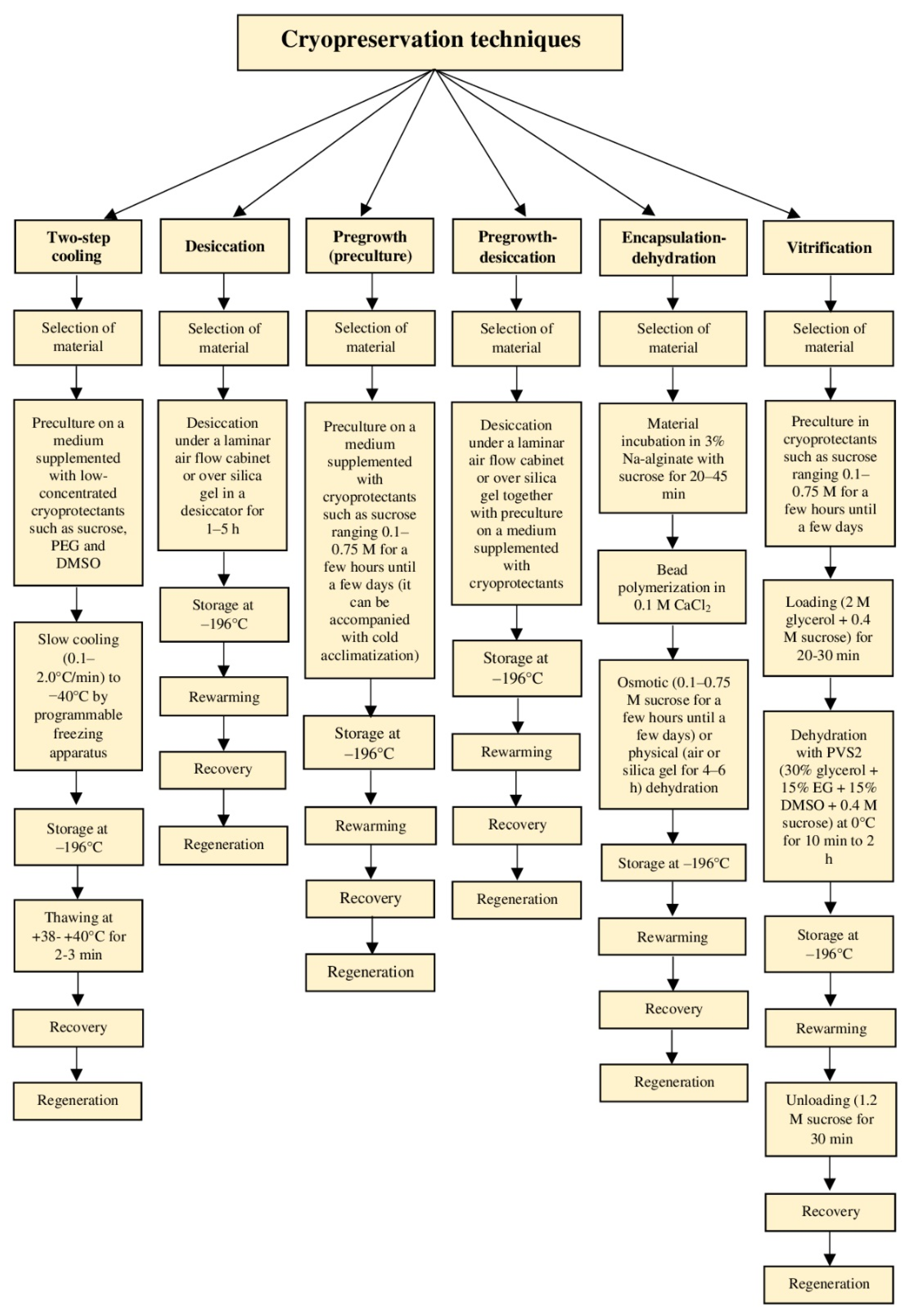 Biology 11 00847 g003a Biology 11 00847 g003a