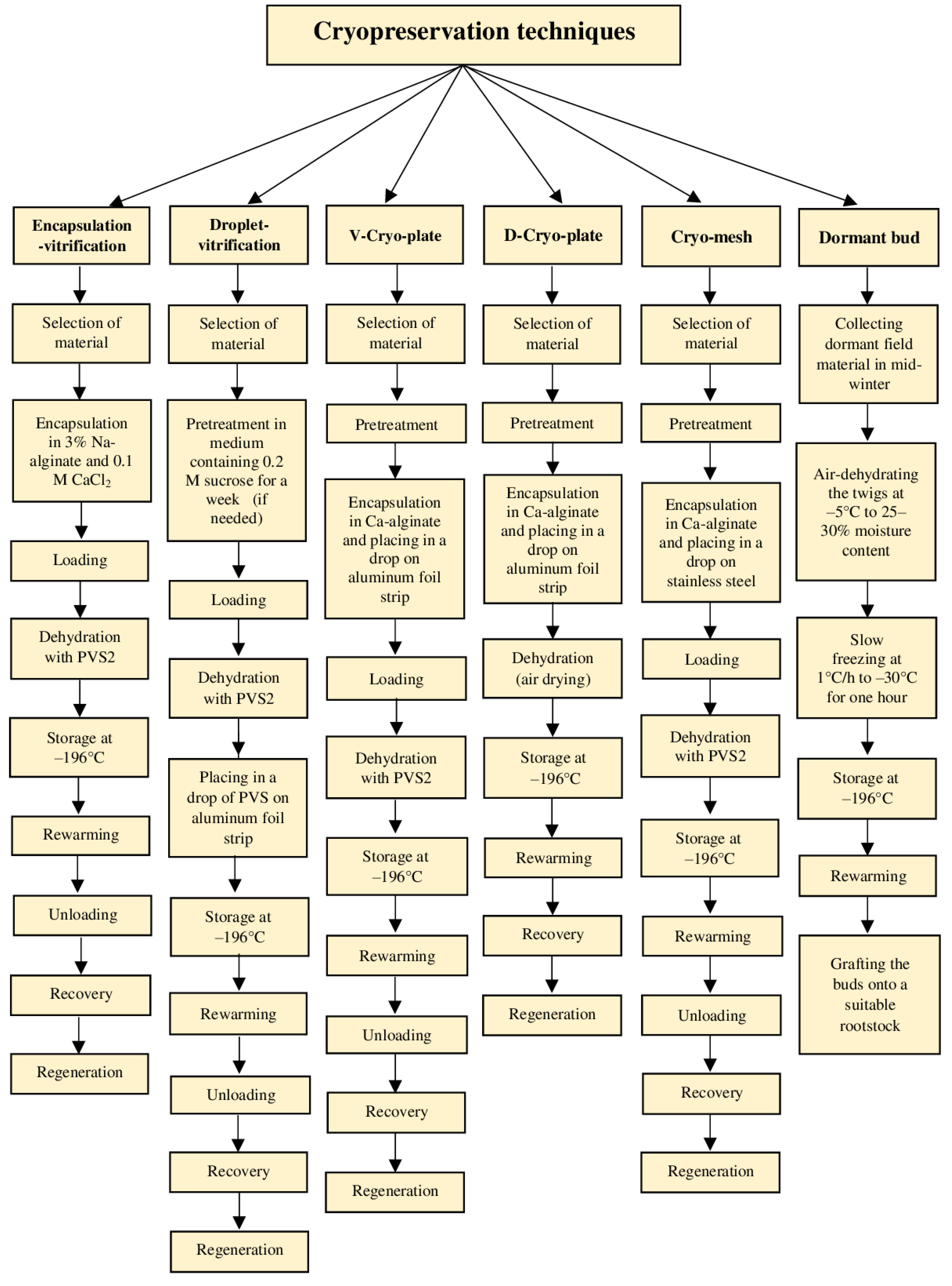 Biology 11 00847 g003b Biology 11 00847 g003b