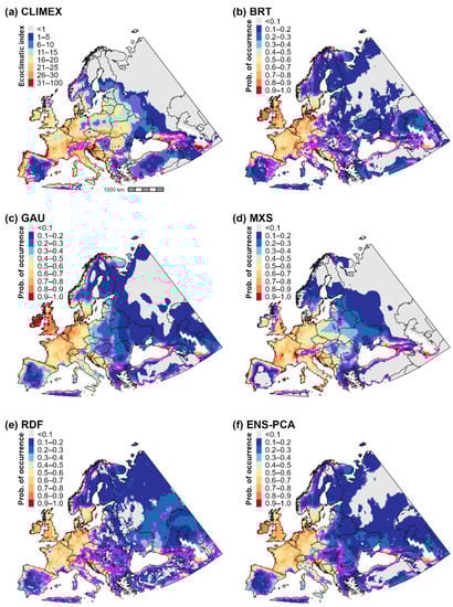 Biology 11 00849 g001