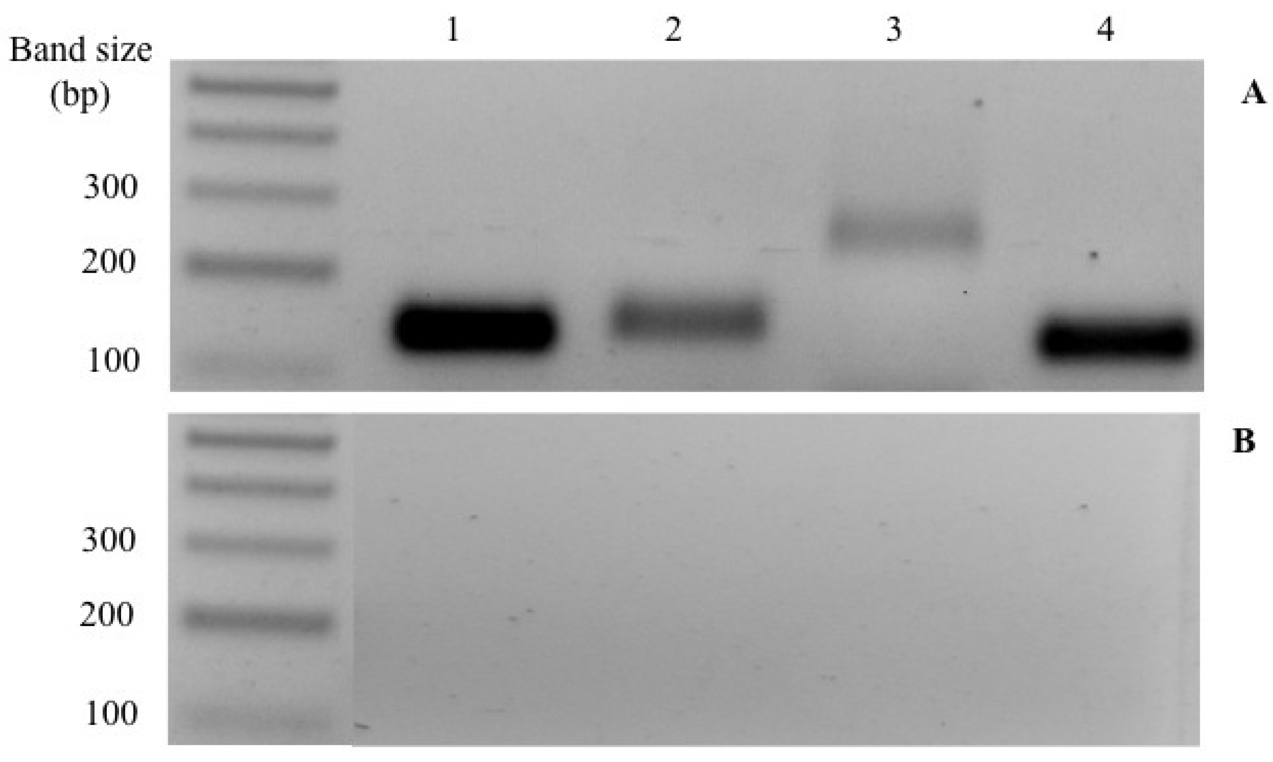 Biology 11 00863 g001