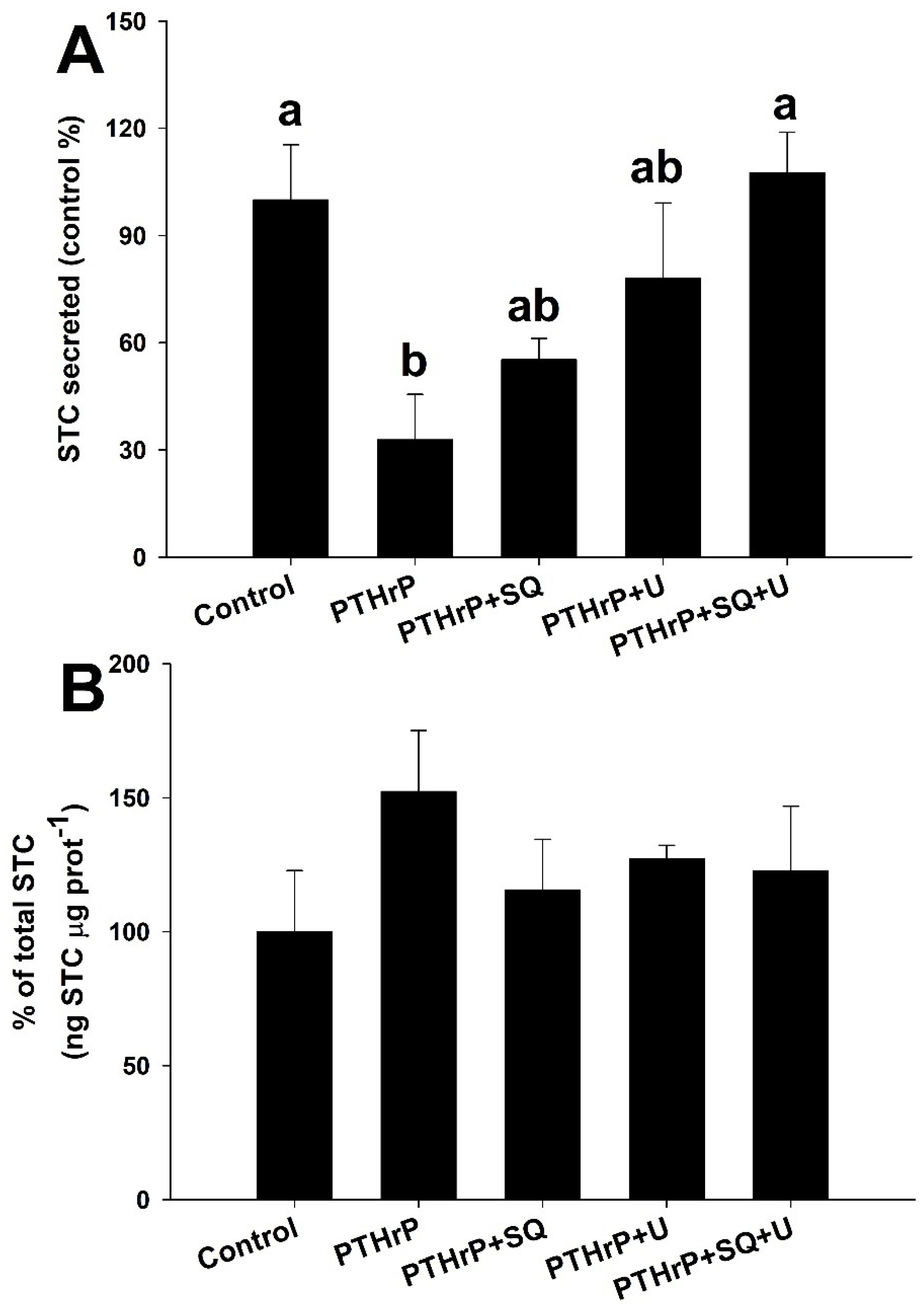 Biology 11 00863 g006