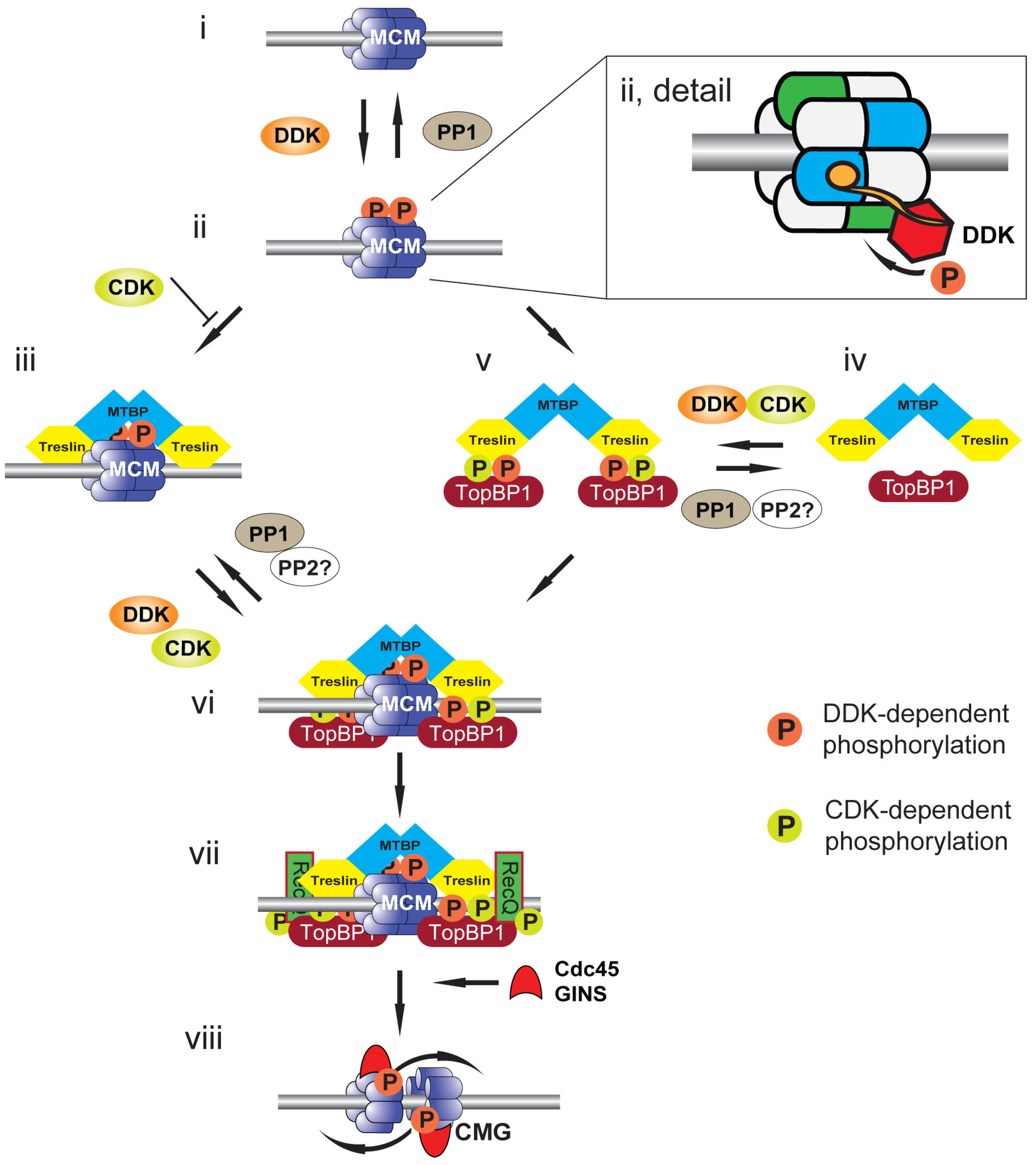 Biology 11 00877 g002