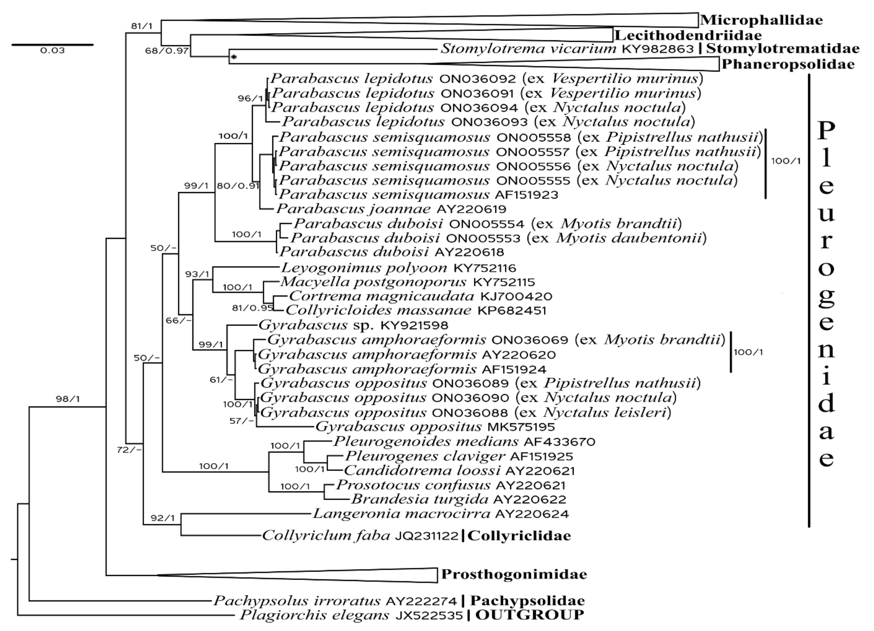 Biology 11 00878 g001