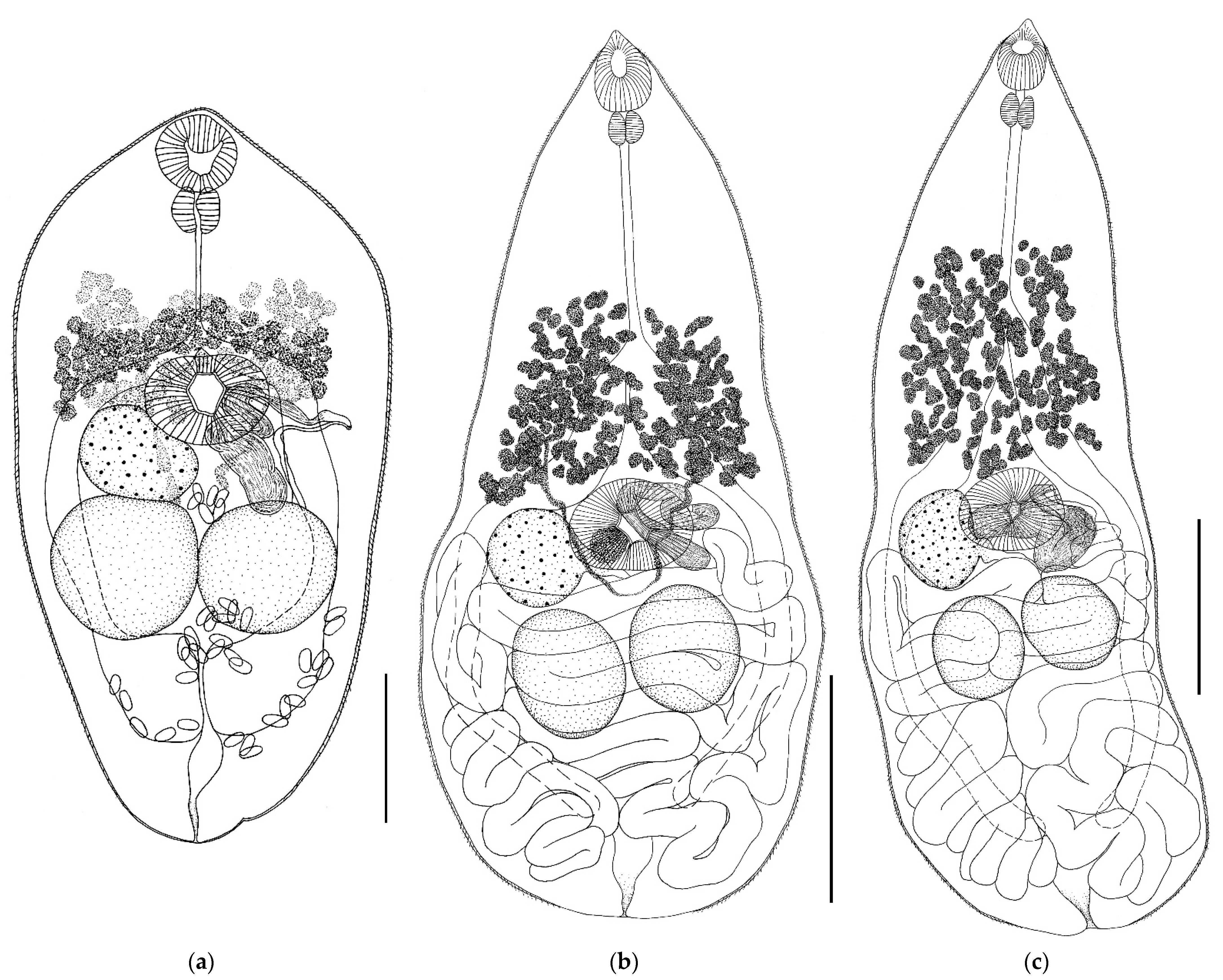Biology 11 00878 g002